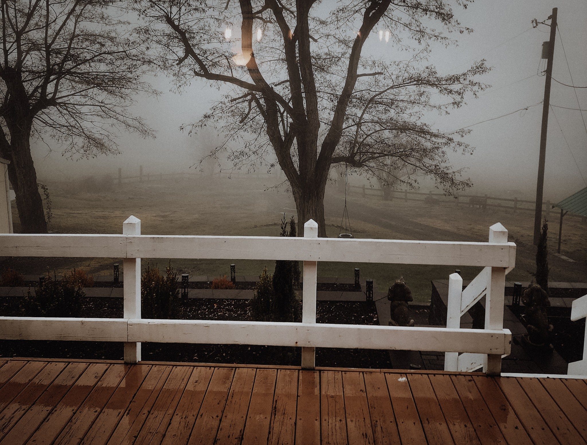 View of foggy landscape with trees and power lines behind a white fence, seen from a wooden deck.