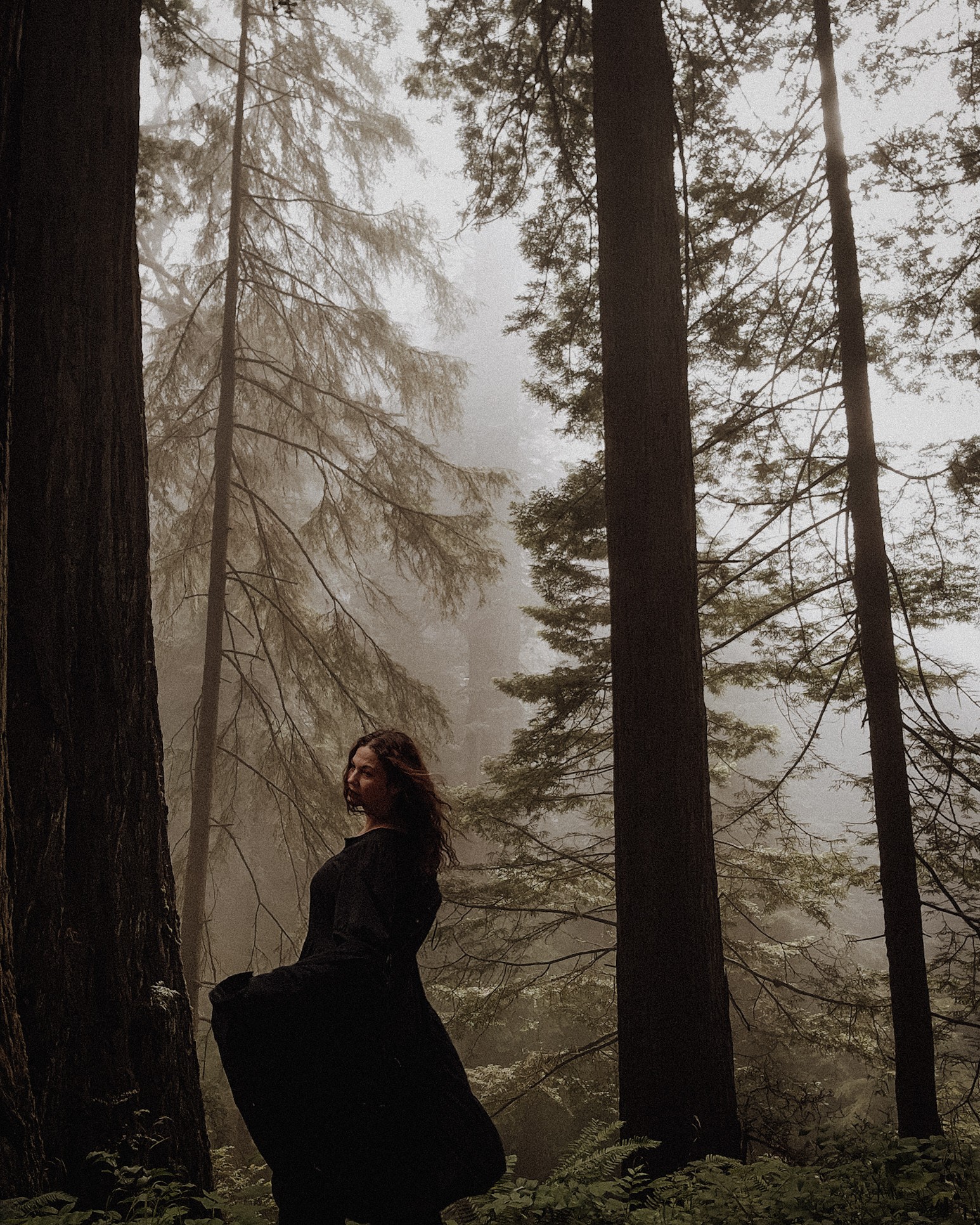 Person standing among tall trees in a foggy forest, looking to the side, wearing dark clothing.