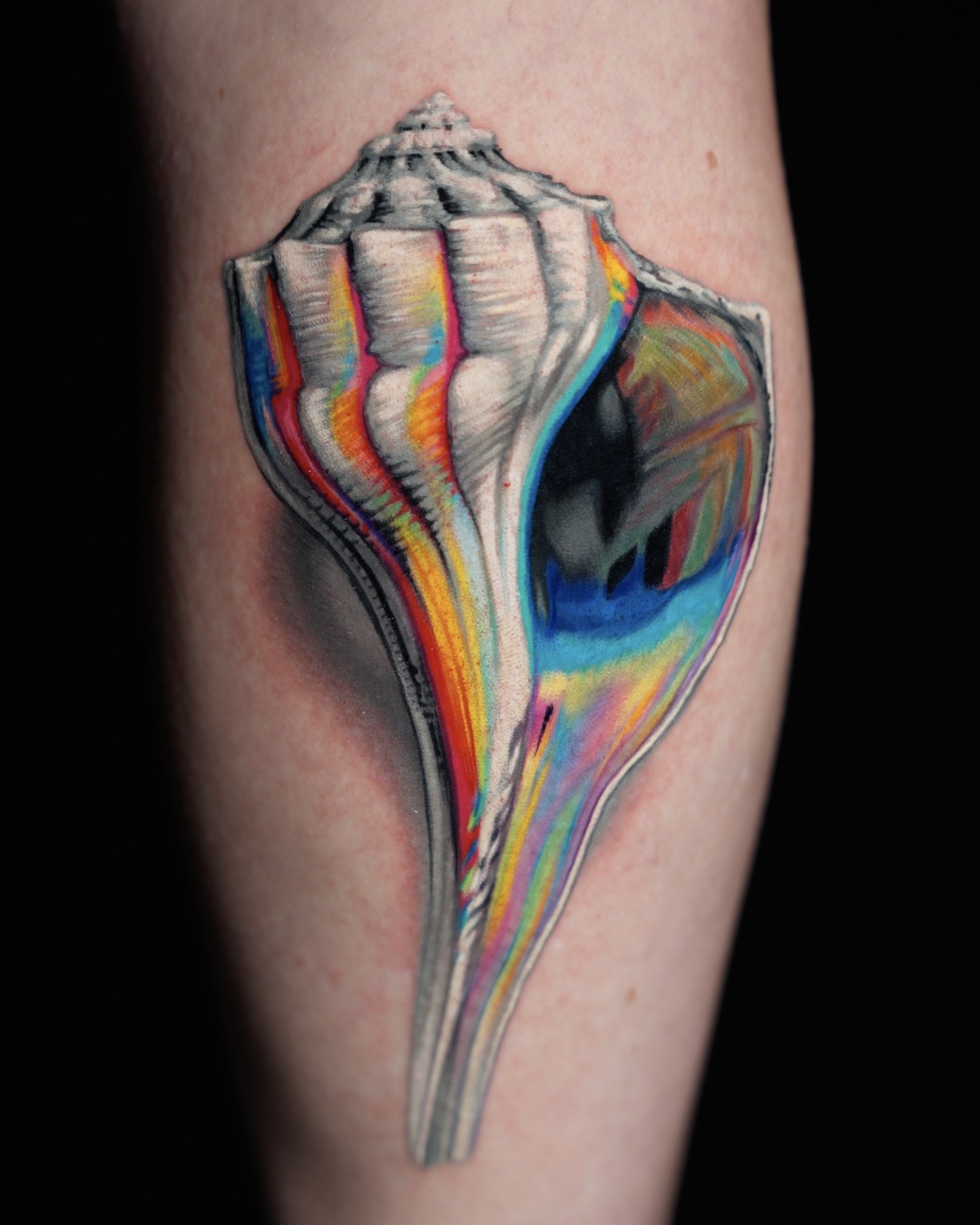 Colorful seashell tattoo on skin, with rainbow-like stripes and shading, detailed and realistic, against a dark background.