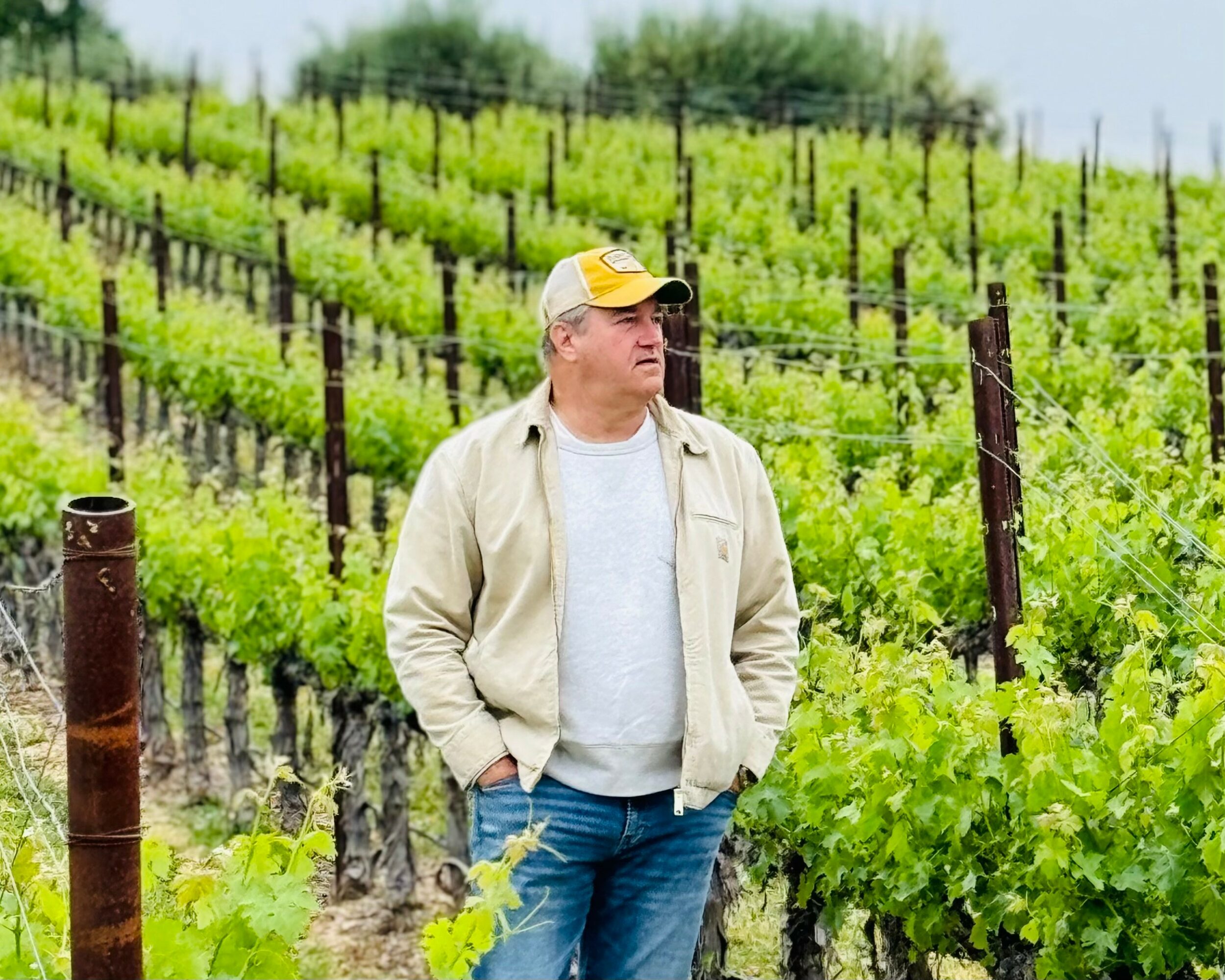 Man in a beige jacket and cap standing in a vineyard with rows of grapevines behind him.