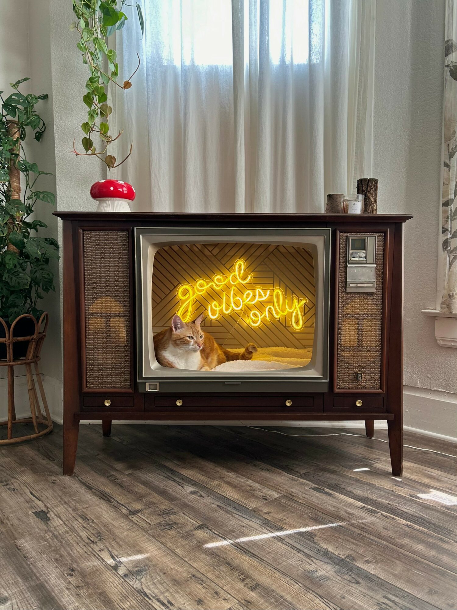 Vintage television with a cat and neon sign reading 'good vibes only' inside, in a room with curtains and plants.