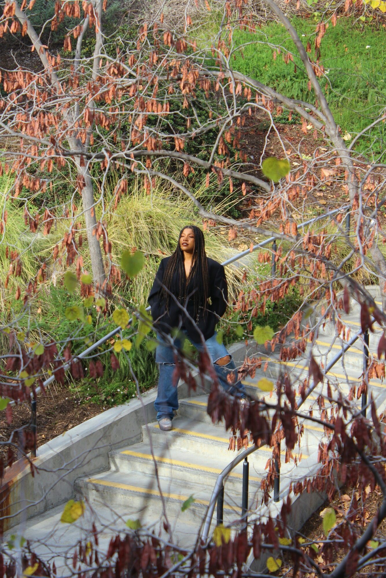 Person walking down a garden path surrounded by trees with brown leaves, green grass, and a black fence.