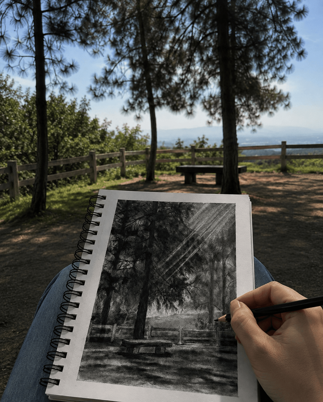 Person sketching a black and white drawing of trees and a bench in a park with trees and a fence, outdoors.