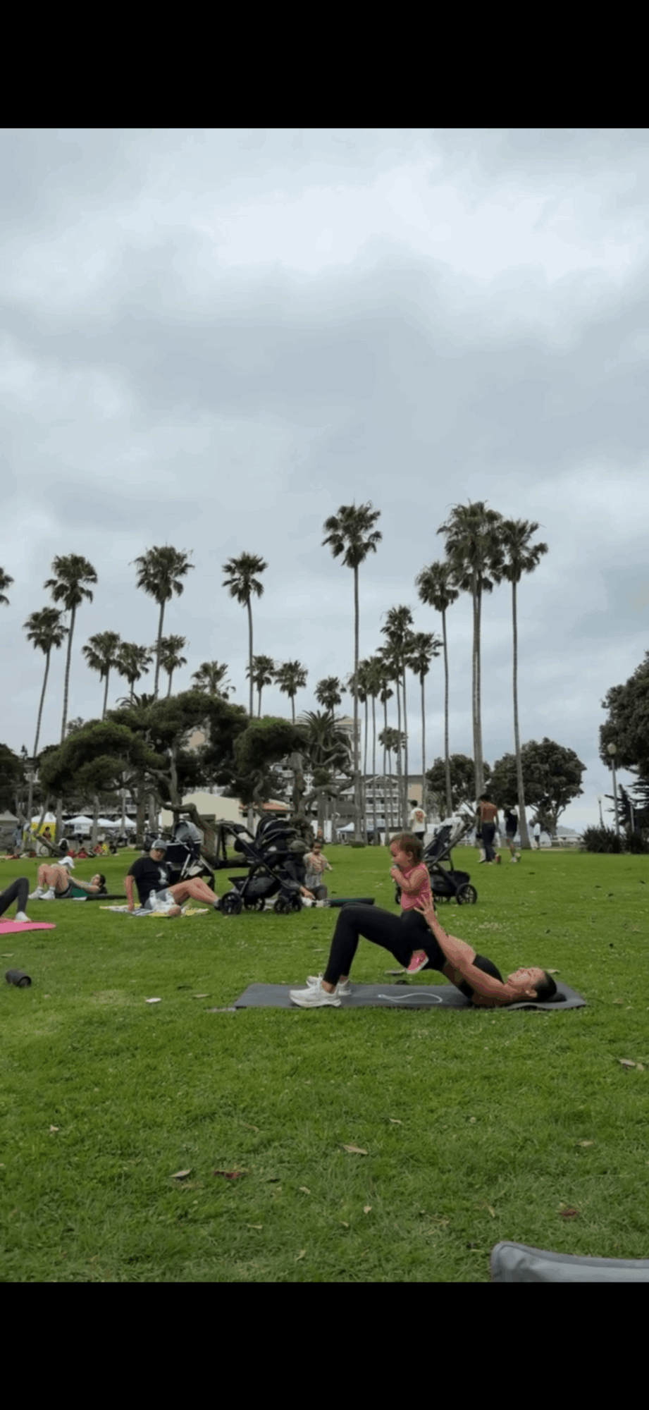People exercising on grass with tall palm trees and cloudy sky in the background.