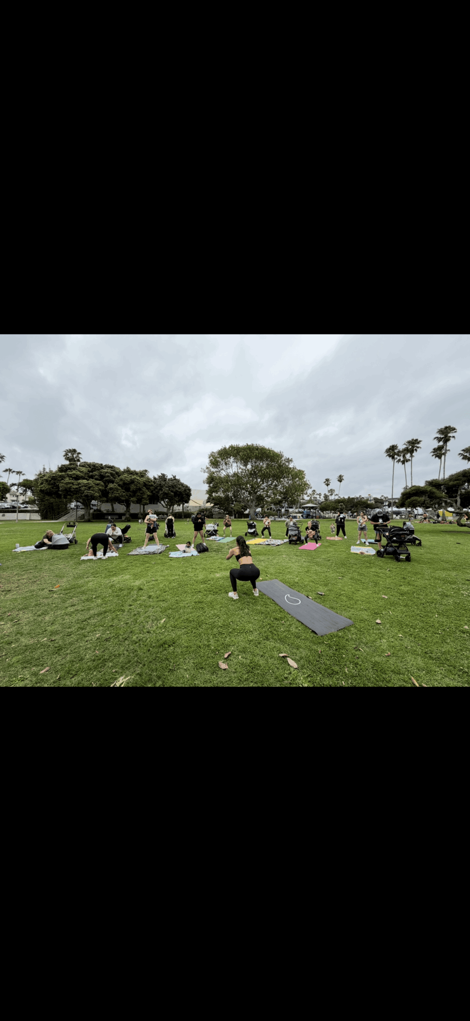 People practicing yoga outdoors on grass with trees and cloudy sky in background.