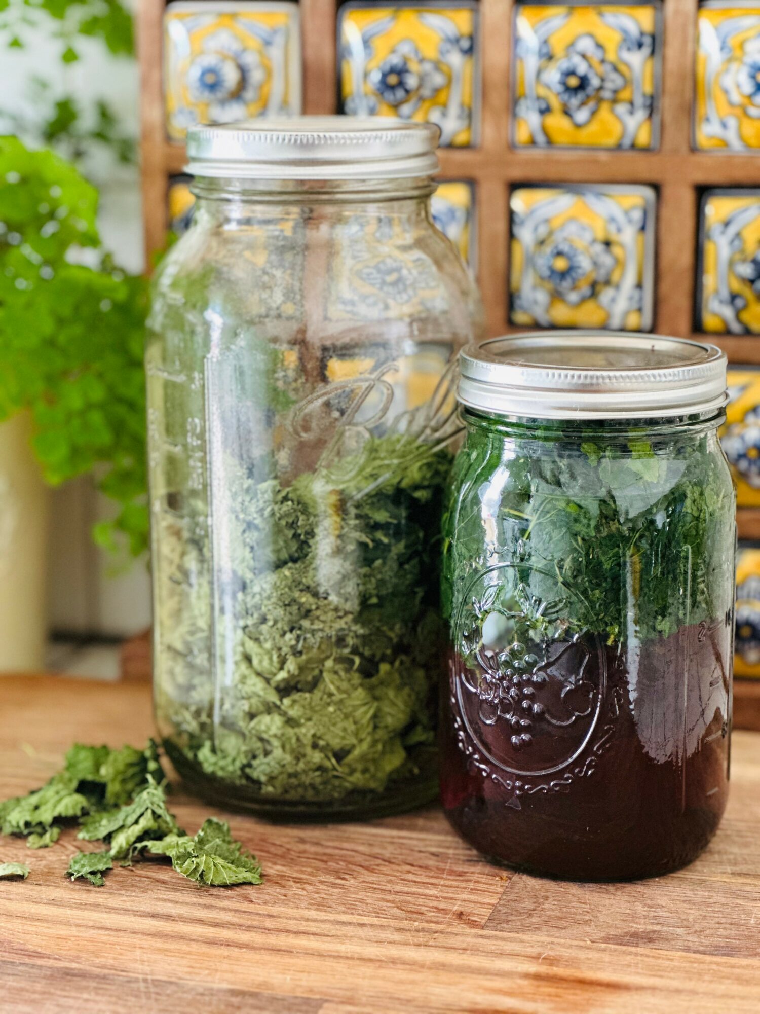 Two glass jars filled with green herbs and dark liquid, placed on a wooden surface with a decorative tiled background.