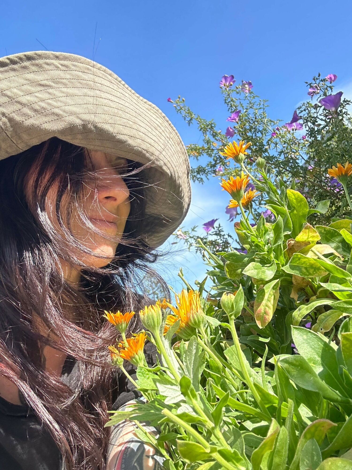 Person wearing a wide-brimmed hat among green plants and colorful flowers, with a clear blue sky in the background.