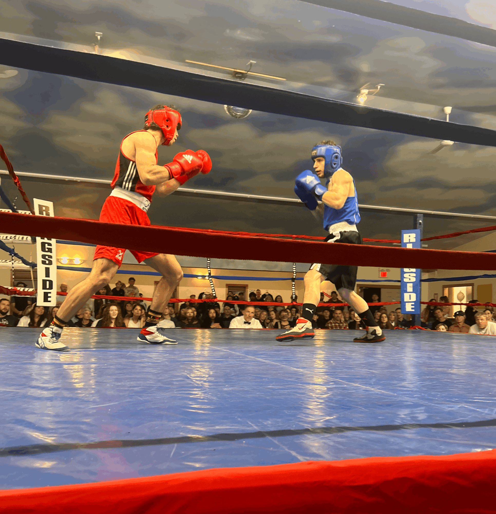 Two boxers in red and blue gloves face each other in a boxing ring with an audience watching.