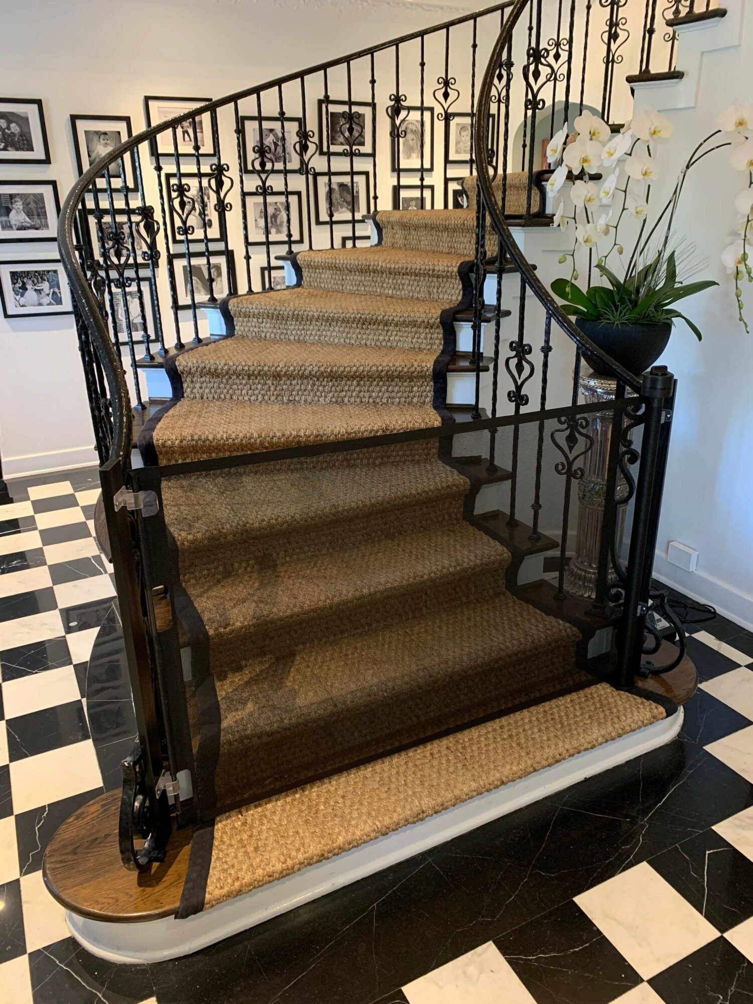 Winding staircase with black metal railing and beige carpeted steps, next to a black and white checkered floor, with a plant nearby.