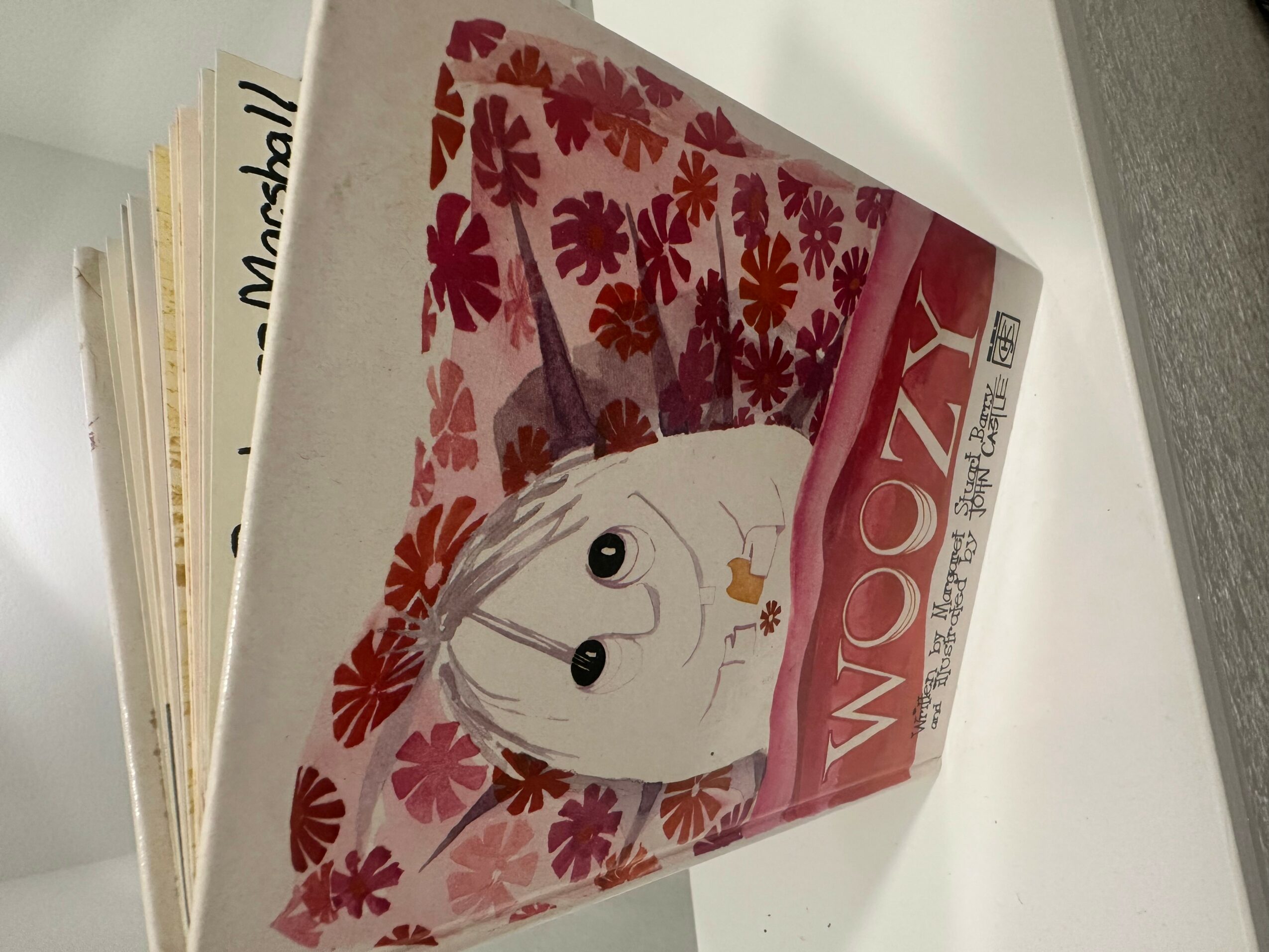 Book cover with a cartoon unicorn surrounded by pink and red flowers, titled 'Wozy'.
