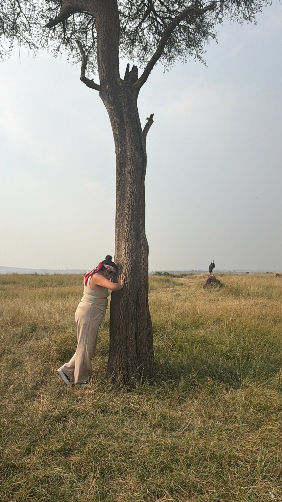 Person hugging a large tree in an open grassy field, with another person in the distance under a cloudy sky.