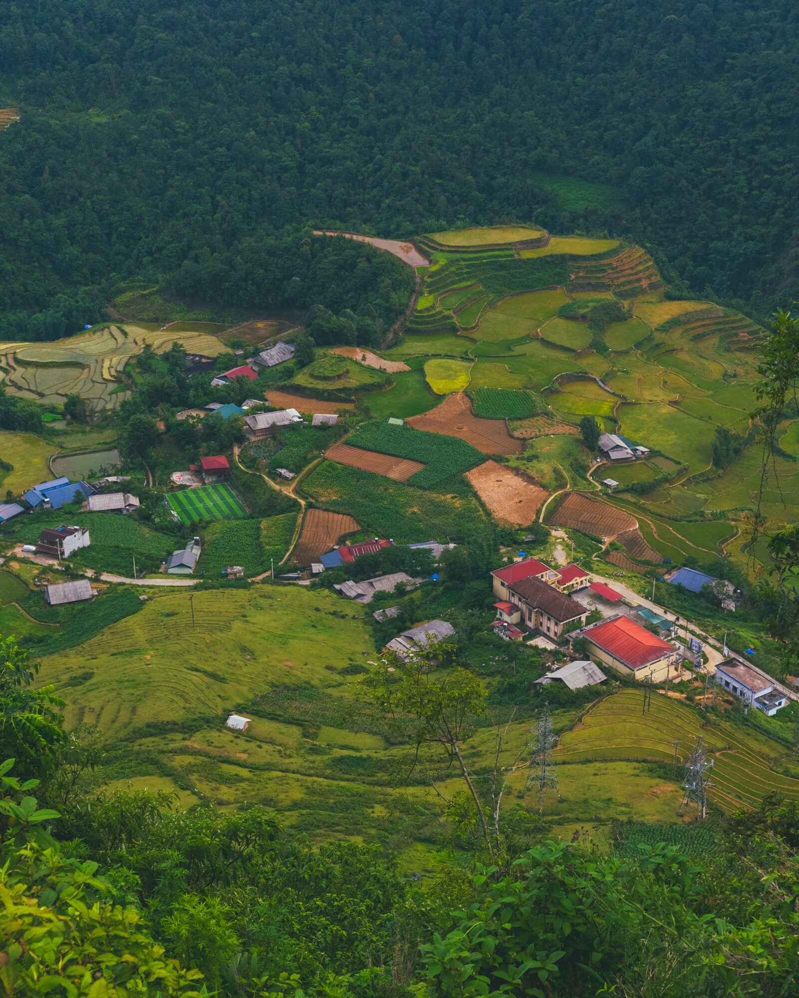 Aerial view of a village with houses and terraced fields on a hillside, surrounded by green forest.