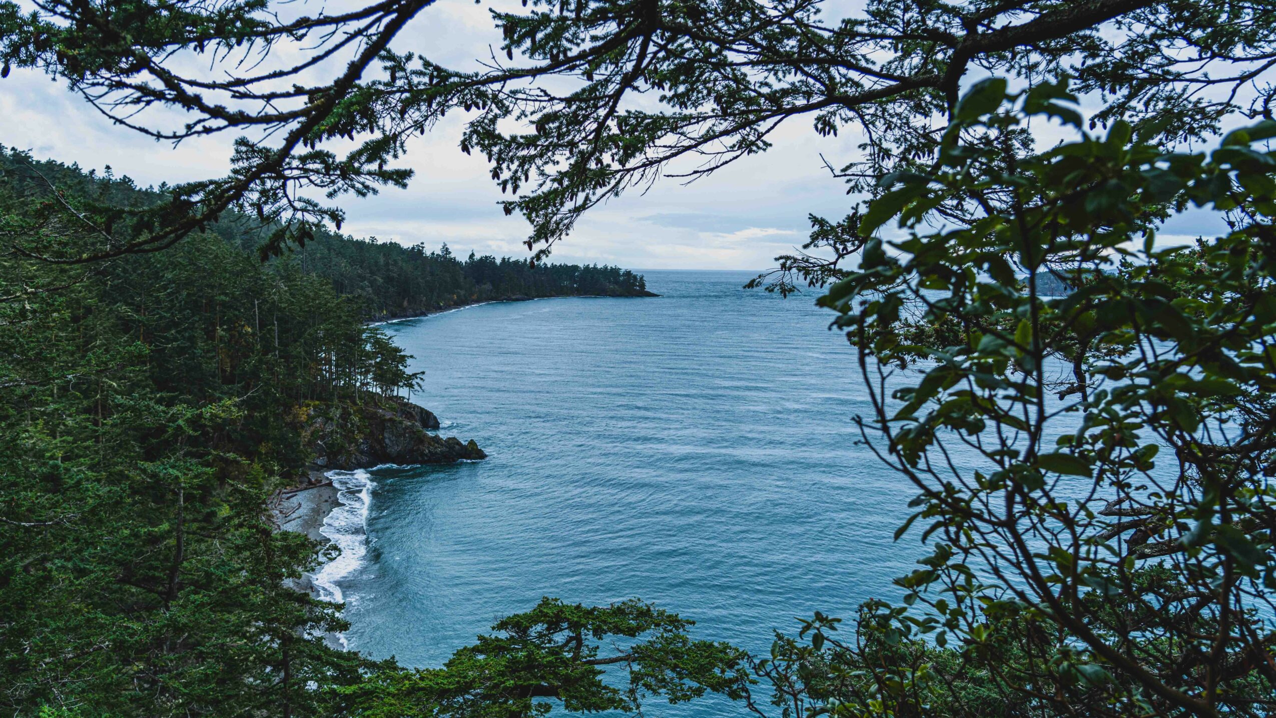 View of a body of water surrounded by trees and a cloudy sky, seen through branches and leaves.