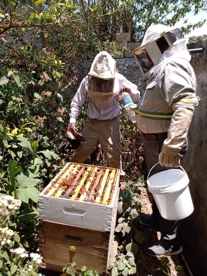 Two beekeepers in protective suits inspect a hive outdoors, one holding a white bucket, surrounded by greenery.
