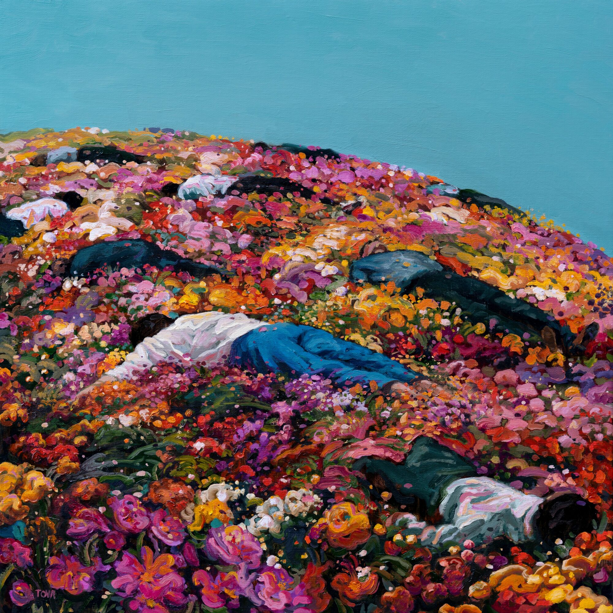 Three people lying on a colorful flower-covered hillside under a blue sky, viewed from above.