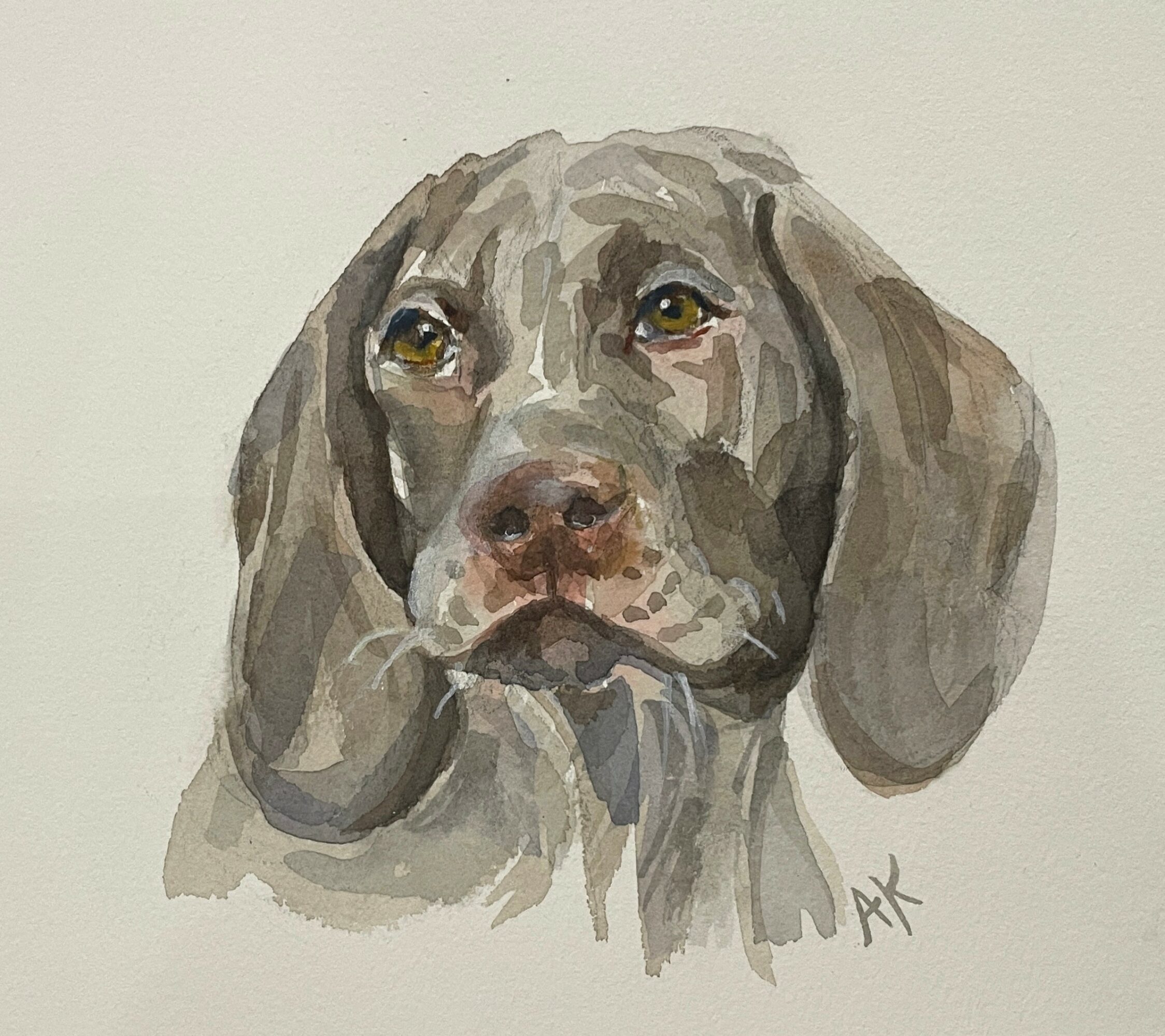 Watercolor painting of a dog with droopy ears and sad eyes, facing forward, with a neutral background.