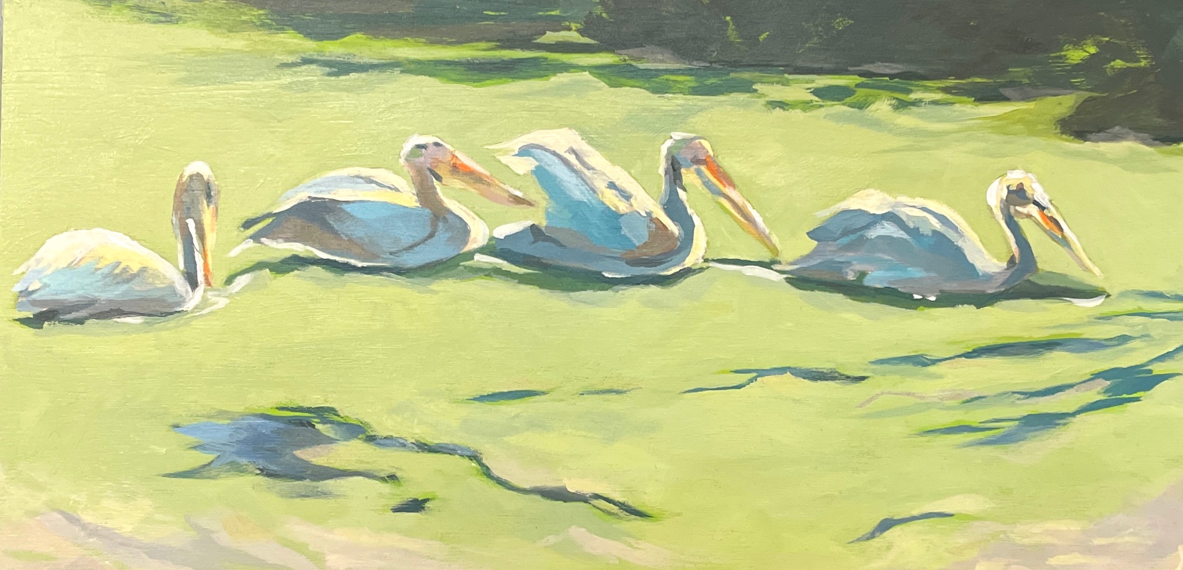 Six swans swimming on a greenish water surface with trees in the background.