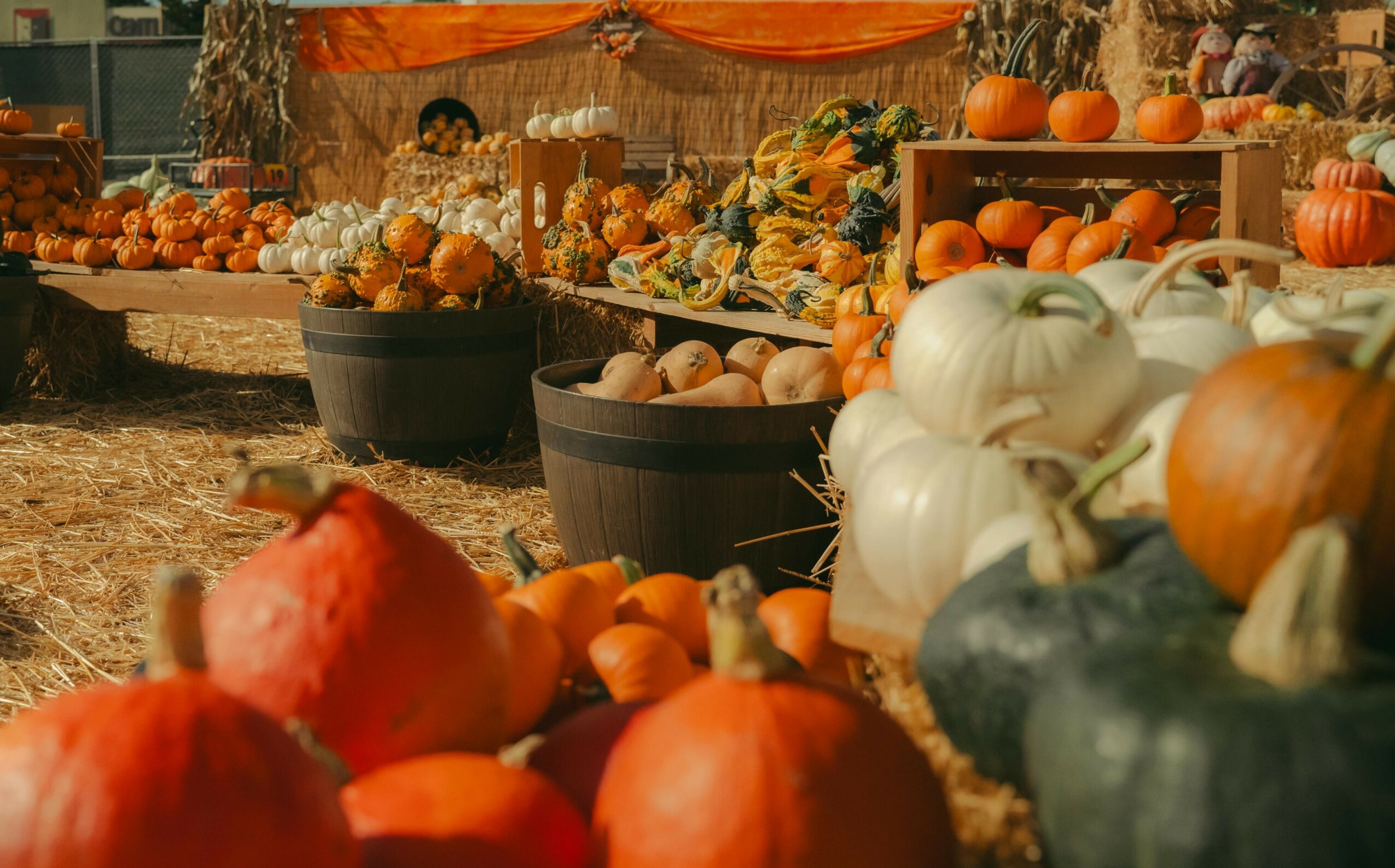 Pumpkins and gourds displayed at an outdoor market with pumpkins on shelves and in containers, autumn setting.