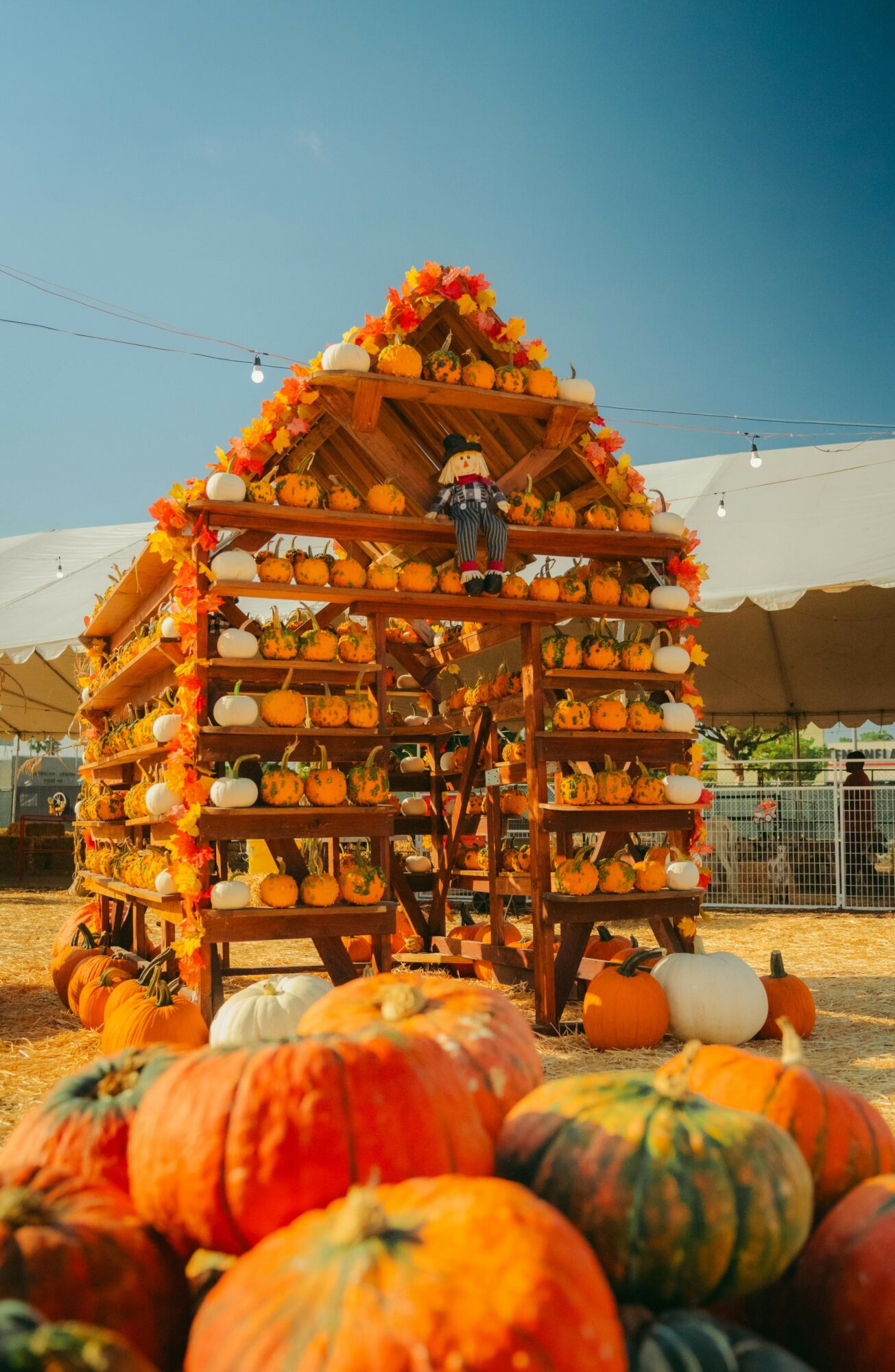 Pumpkin display with a wooden pyramid structure decorated with pumpkins and flowers, set outdoors under a clear sky.