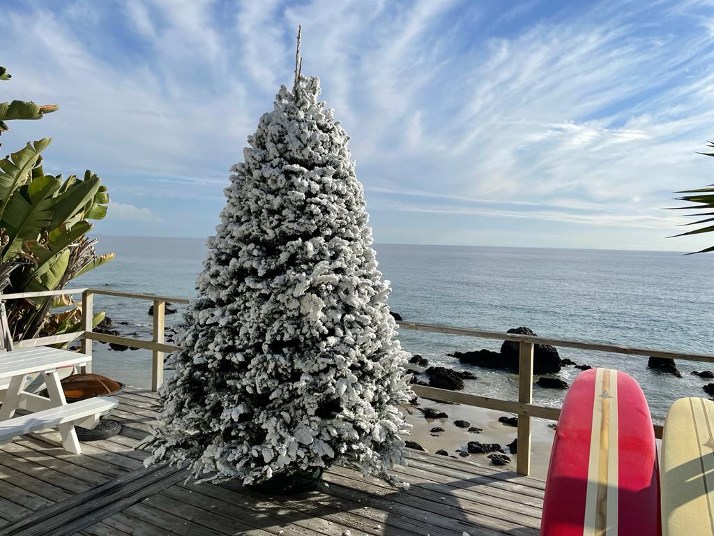 Snow-covered Christmas tree on a deck overlooking the ocean with a cloudy sky.