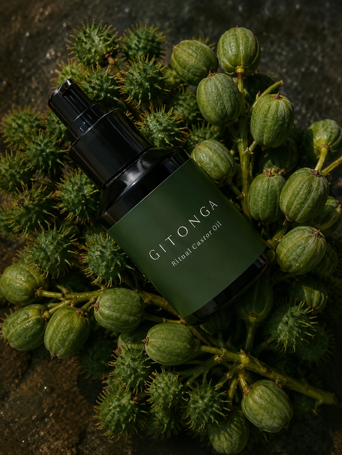 A green bottle labeled 'GITONGA' surrounded by green berries and spiky foliage on dark background.