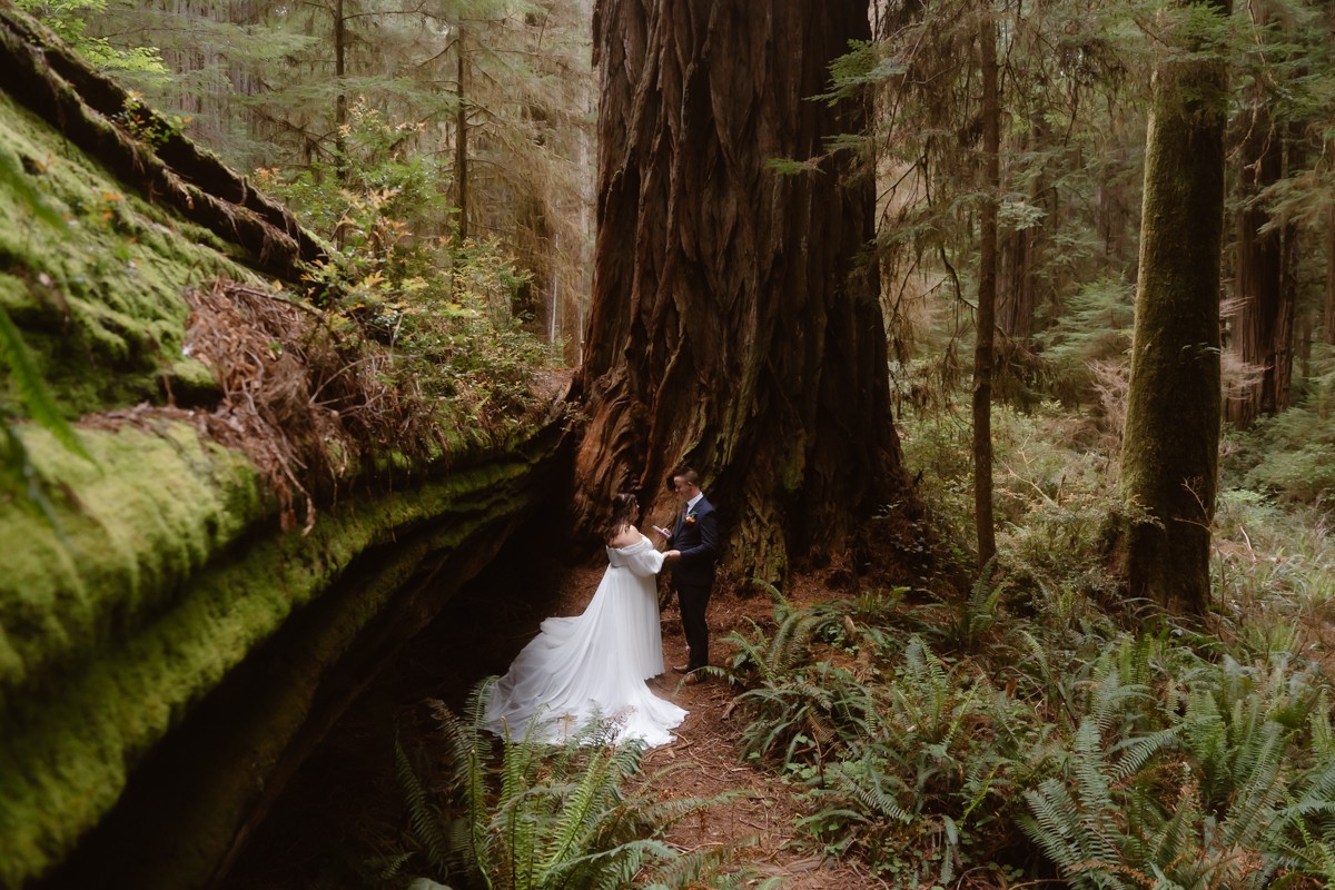A person in a white dress stands near a large tree in a forest, surrounded by greenery and moss-covered logs.