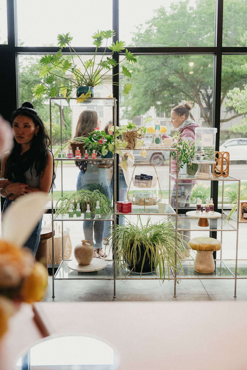 Interior view of a shop with shelves of plants and decorative items, large window with outdoor trees, and people inside.