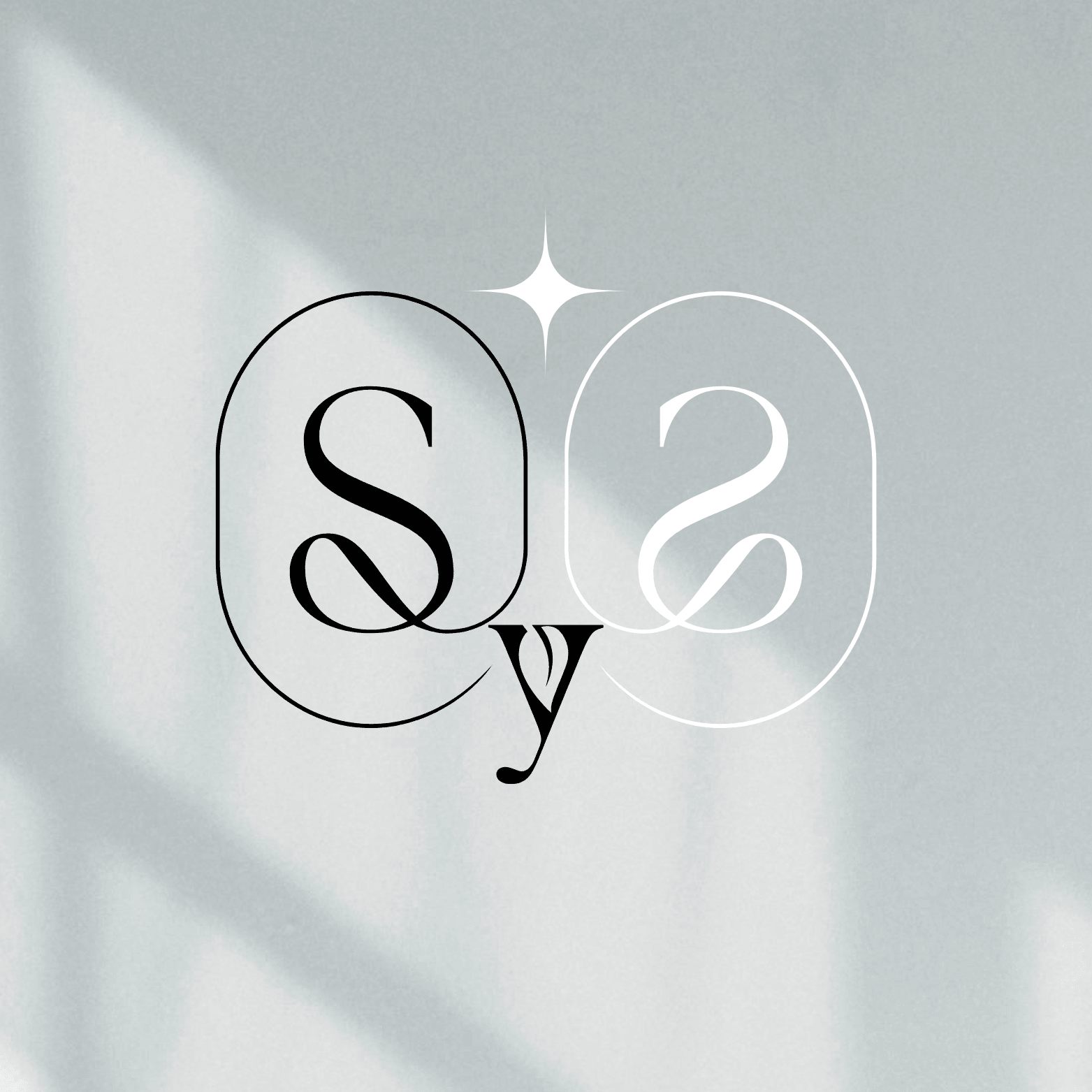 Stylized text with the letters S, y, and 2 inside overlapping circles on a light background.