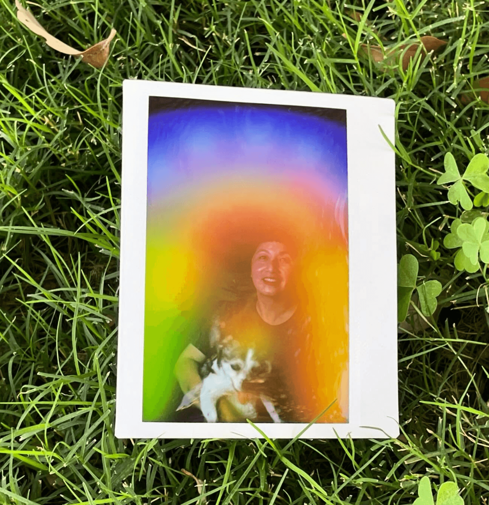Photograph of a person holding a cat, with a colorful rainbow background, lying on grass.