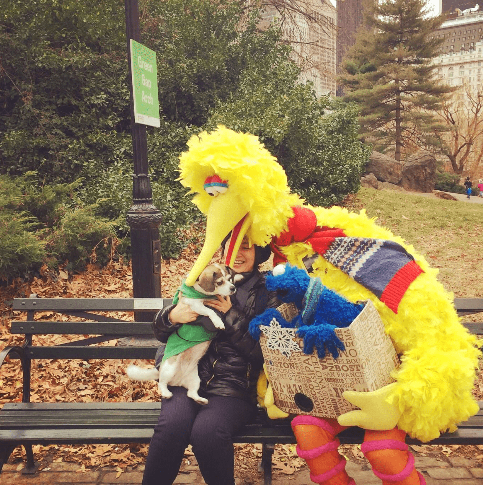 Person sitting on a park bench holding a cat, with a large yellow bird mascot leaning over. Trees and a sign are in the background.
