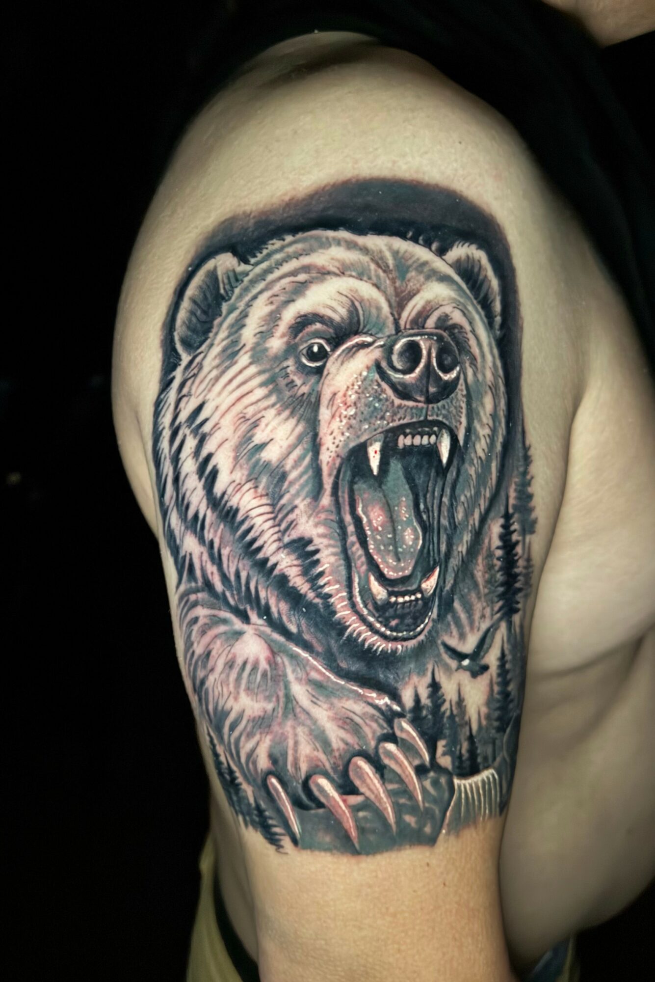 Tattoo of a roaring bear's head and paw on person's shoulder, detailed with open mouth and sharp claws.