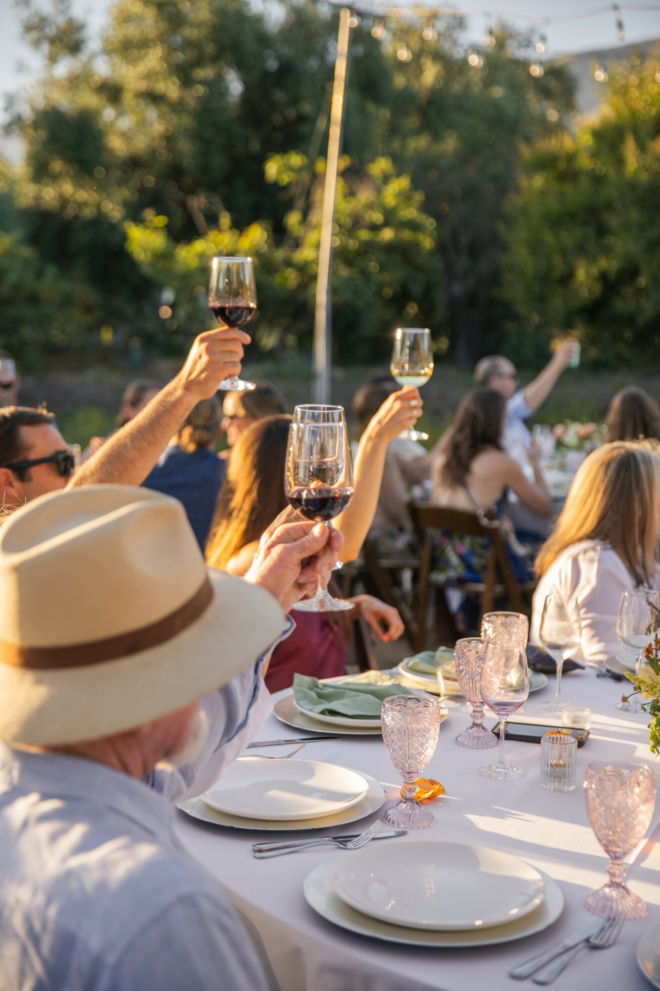 People raising glasses of red wine outdoors during a celebration, with trees and sunlight in the background.