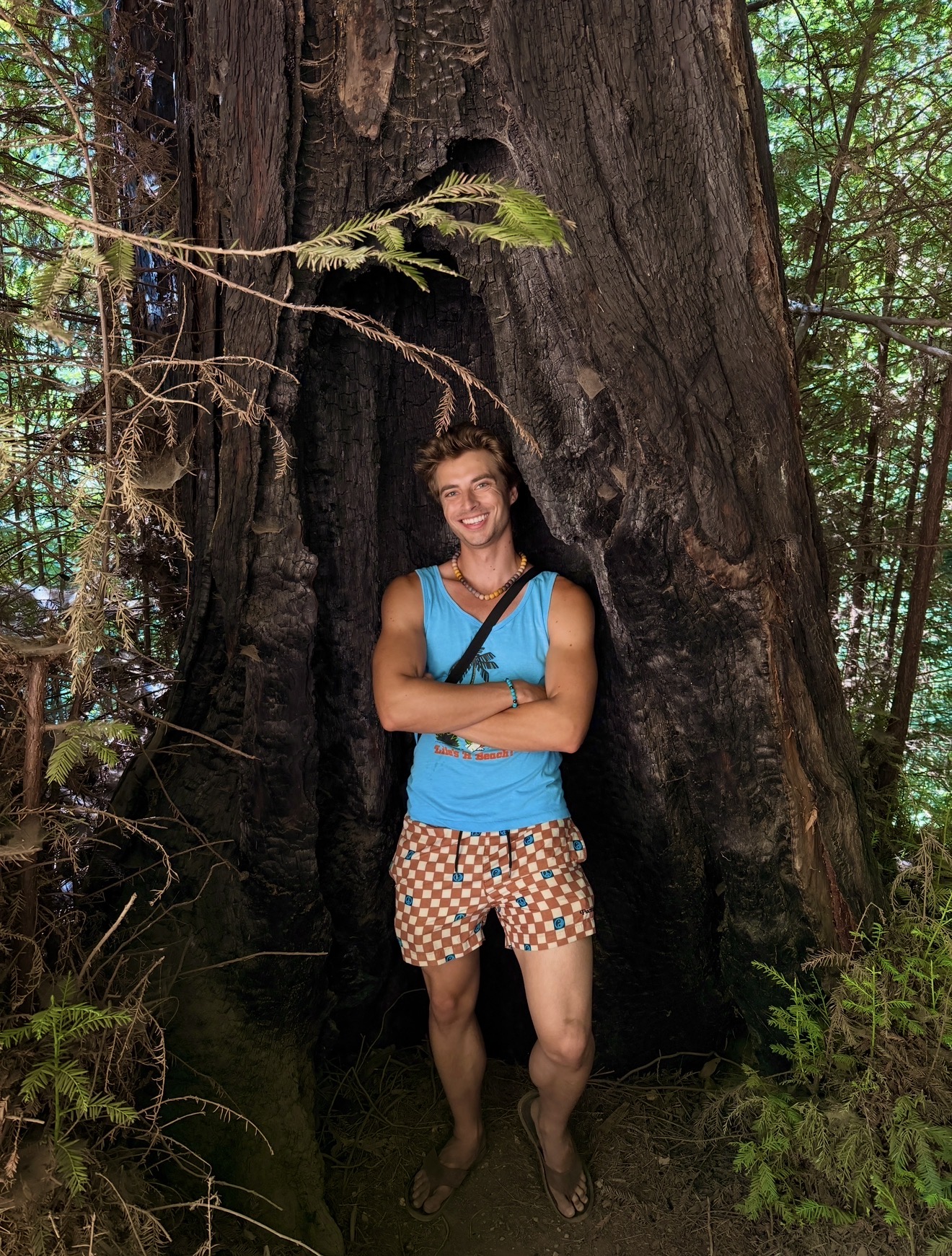 Person standing in front of a large tree trunk in a forest, smiling, wearing a blue tank top and patterned shorts.