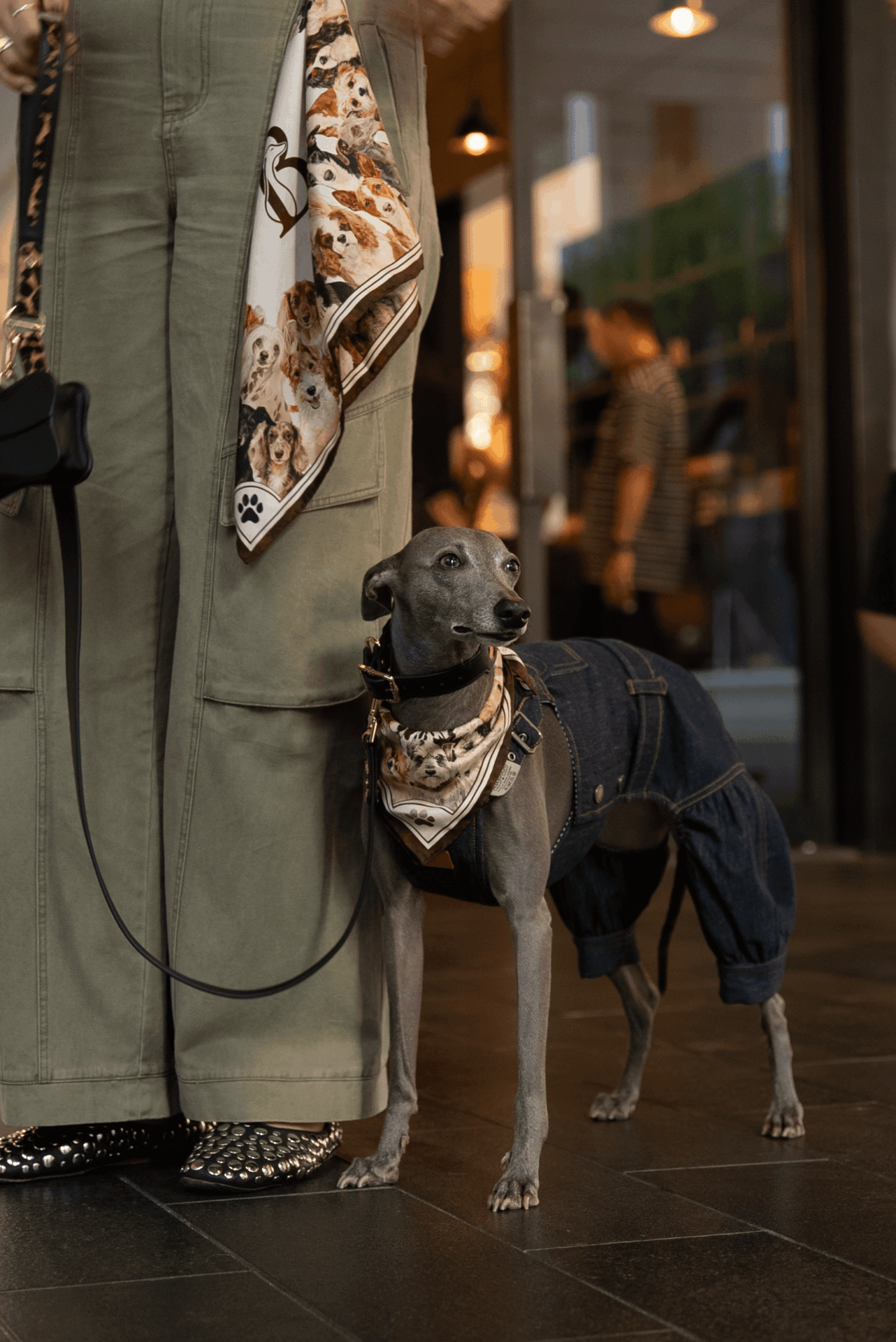 Small dog wearing a bandana and jacket standing next to a person's leg inside a building, with people and reflections in the background.