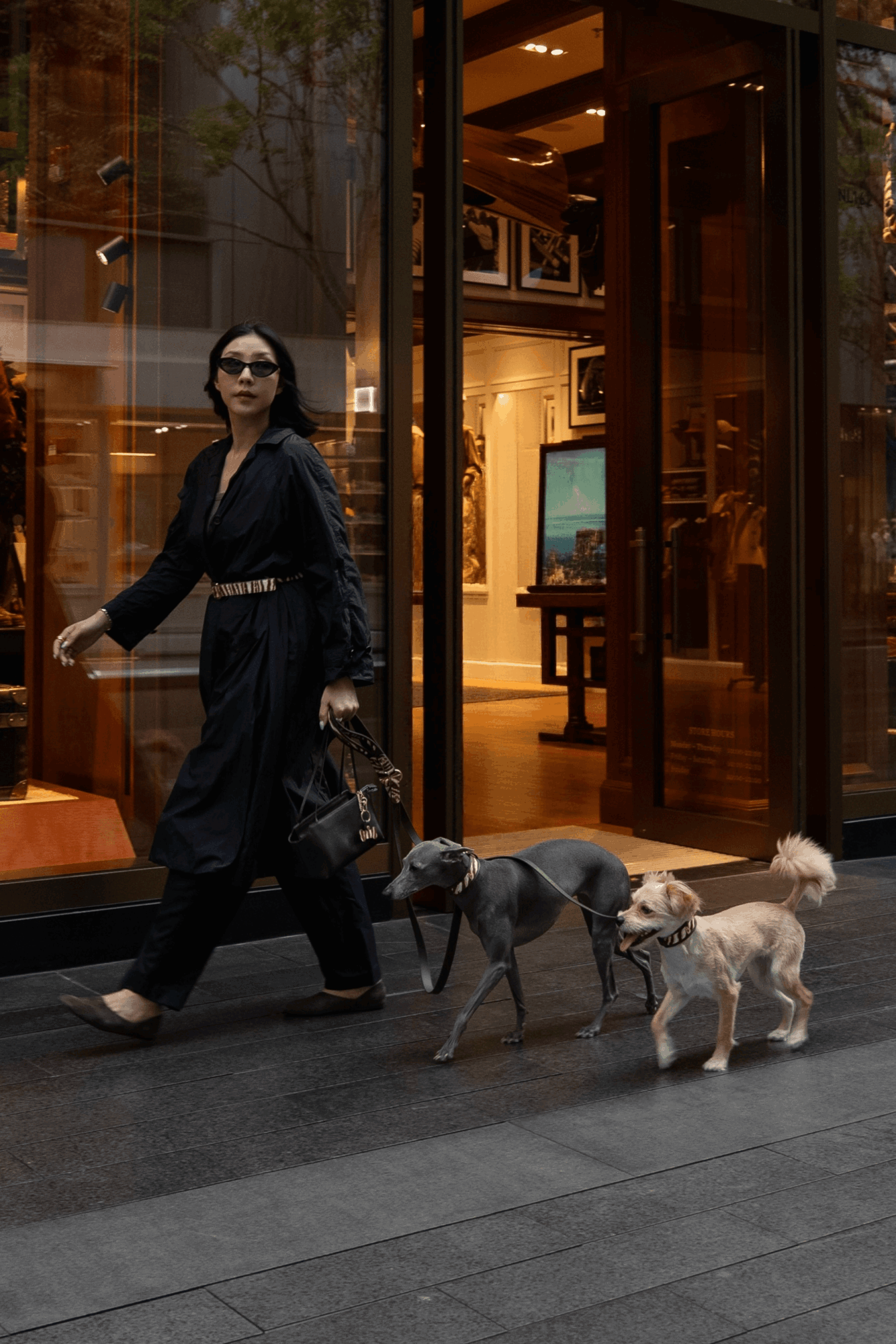 Woman walking three dogs outside a building with glass doors, interior visible through glass, woman wearing sunglasses and dark clothing.