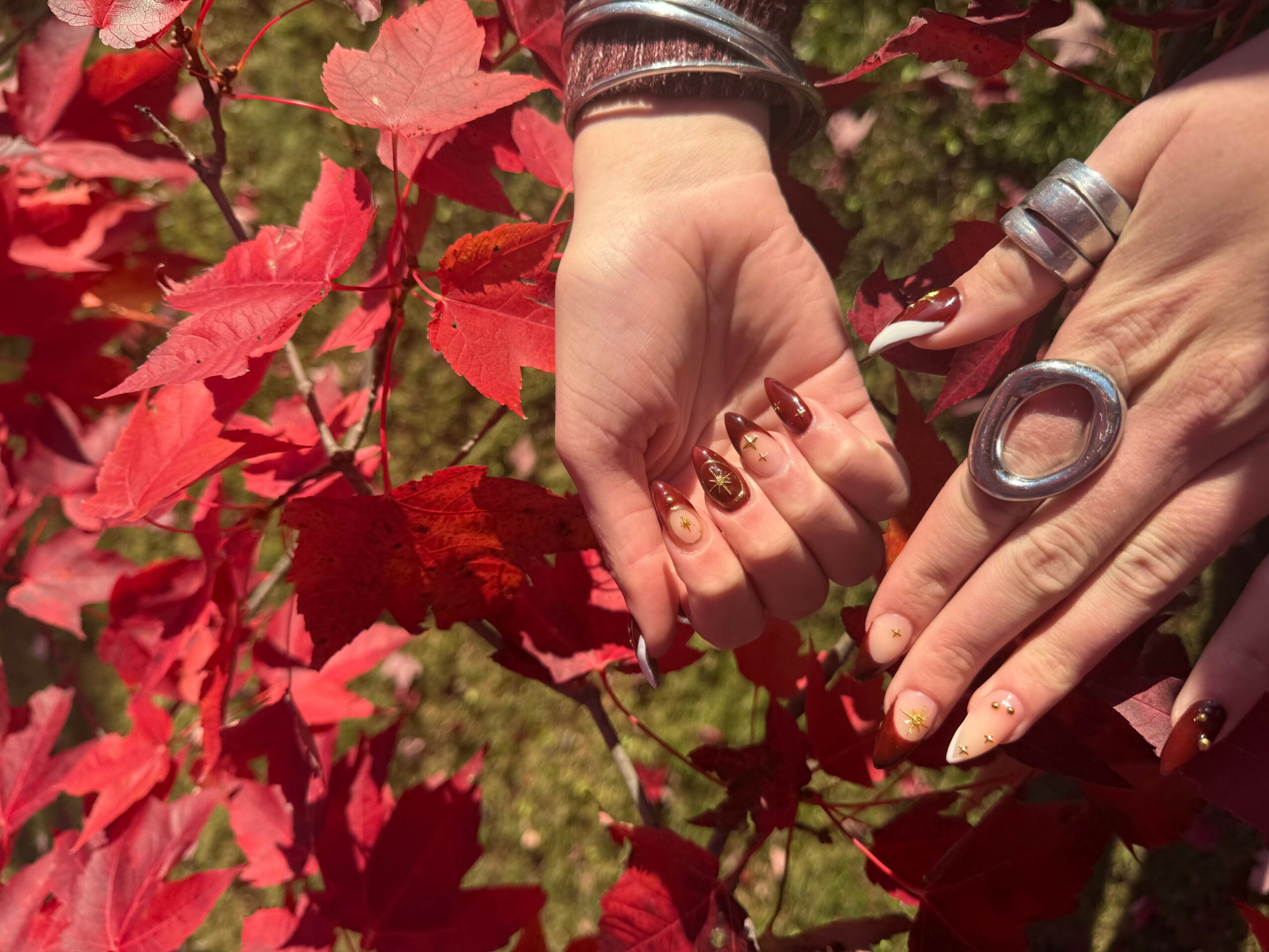 Two hands with rings and painted nails hold a branch with red leaves outdoors.