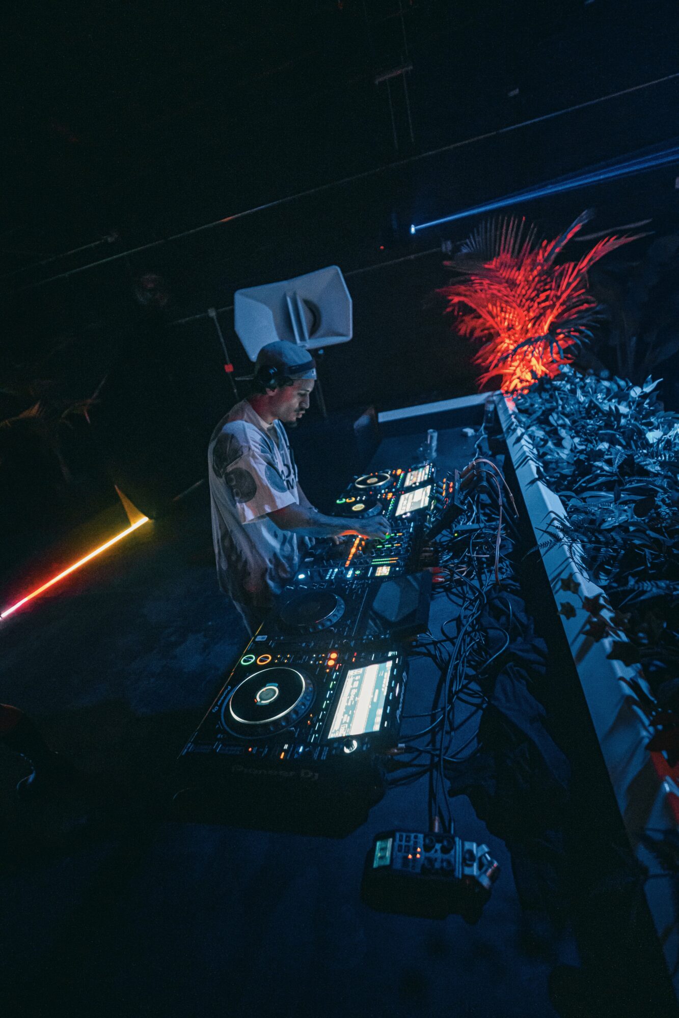 DJ performing at a nightclub with colorful lighting and a plant with red leaves in the background.