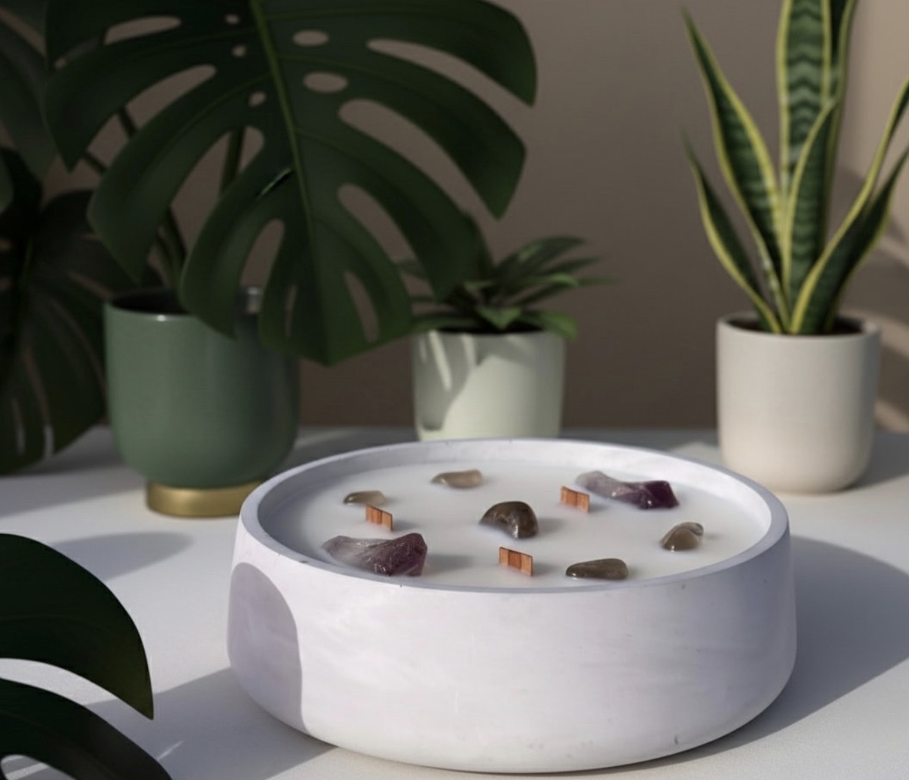 A white bowl with stones and crystals on a white surface, surrounded by potted plants, against a neutral background.