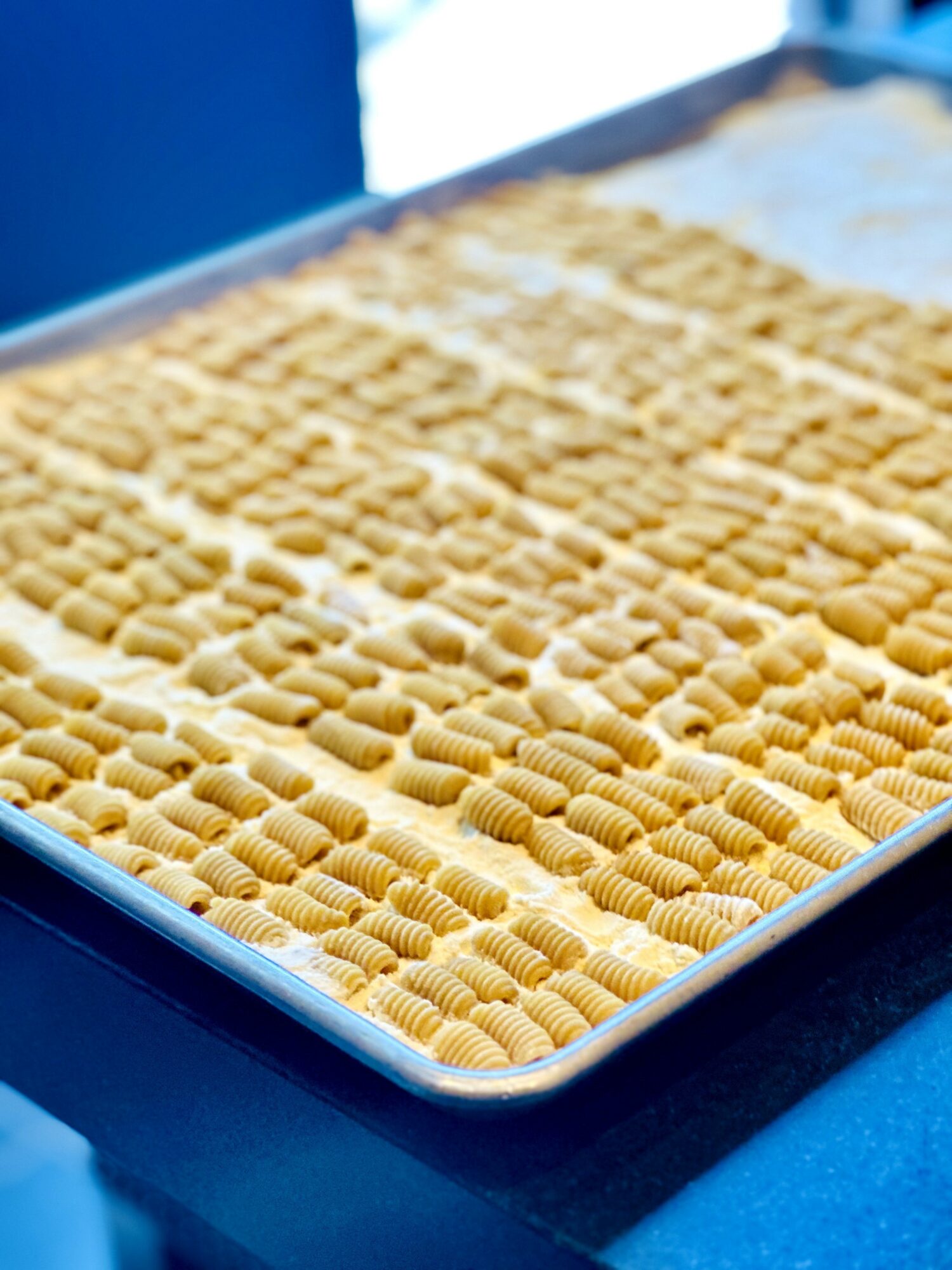 Tray filled with uncooked, ridged pasta arranged in rows on a blue surface.