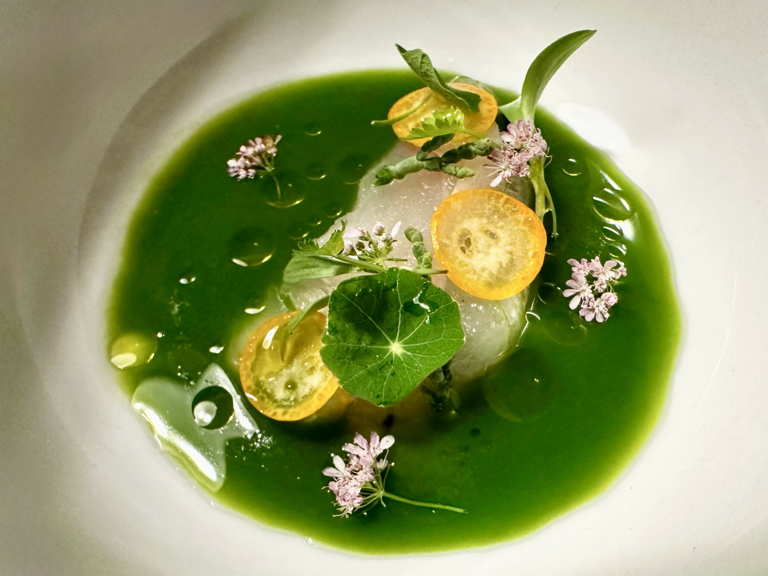 A dish with green sauce, yellow slices, and small purple flowers, garnished with green leaves, in a white bowl.