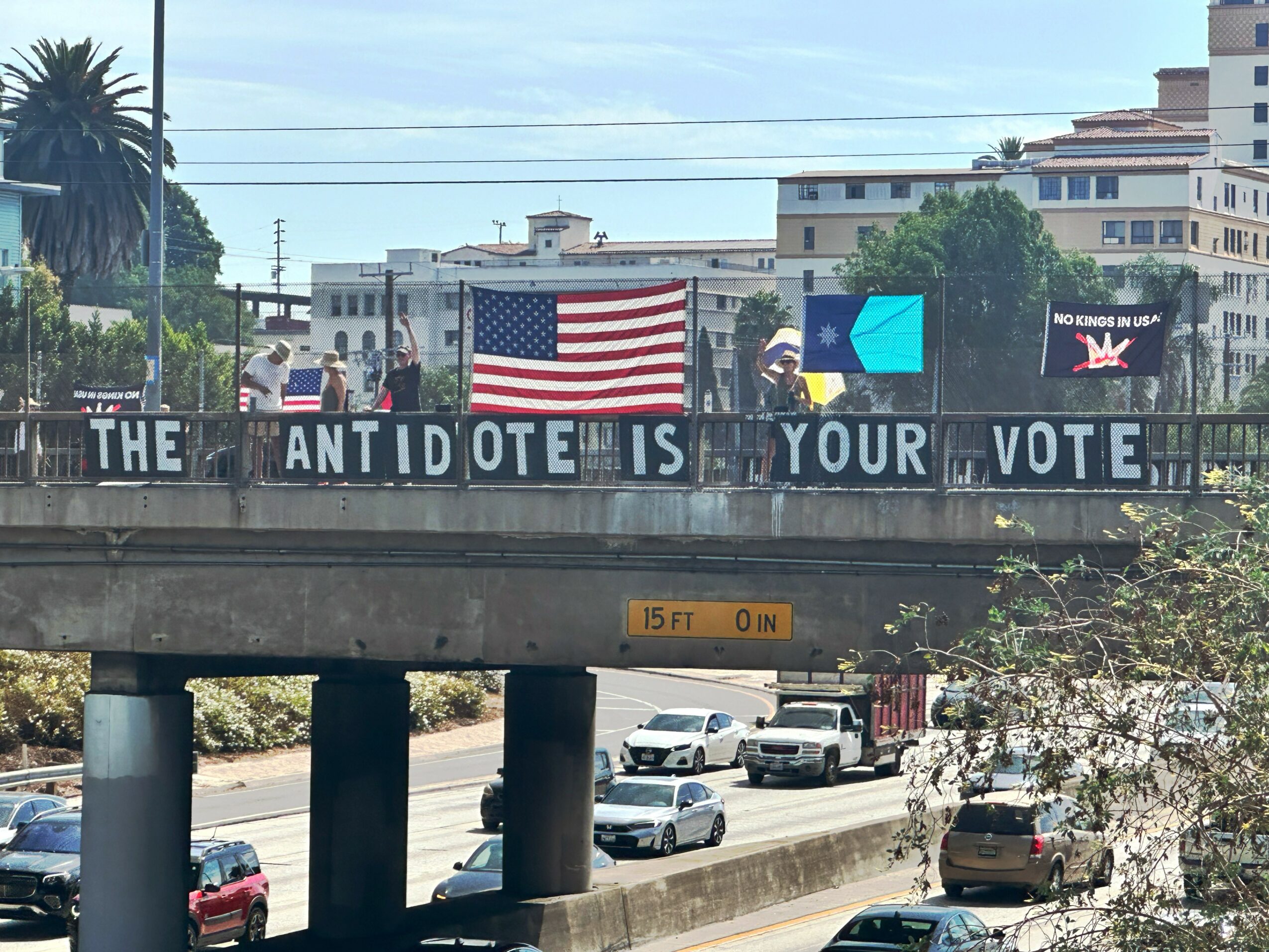 People hold a protest with a large American flag and a sign reading 'The antidote is your vote' on a bridge.