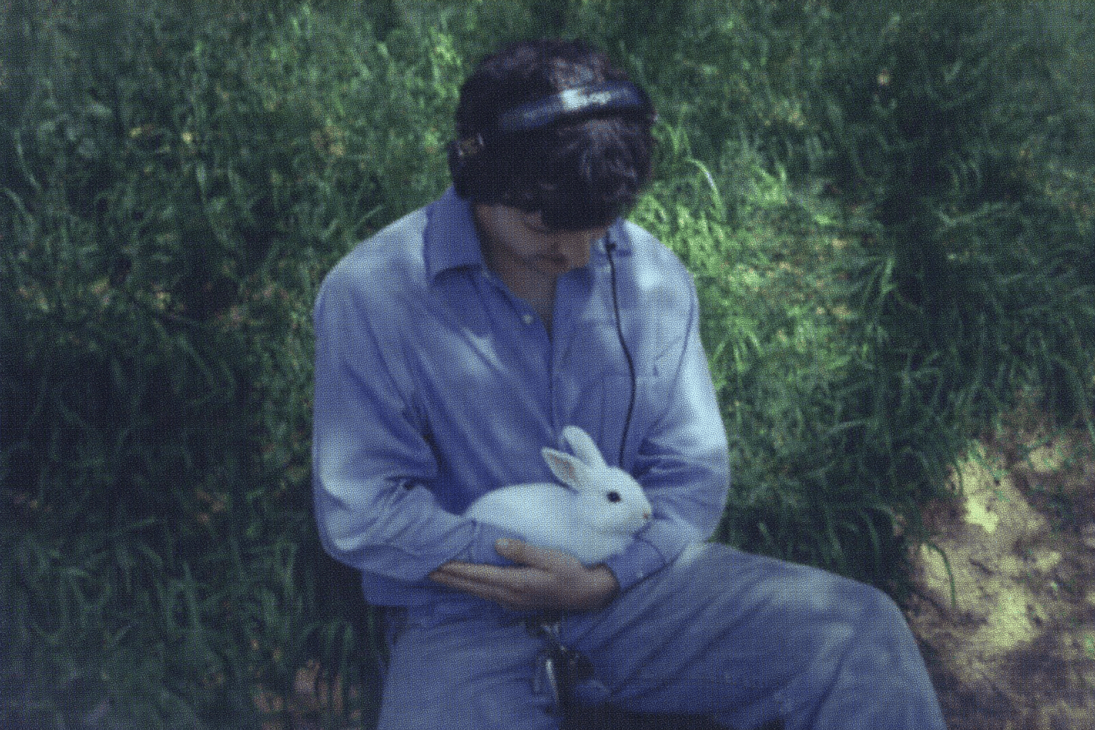 Person holding a white rabbit outdoors with greenery in the background.
