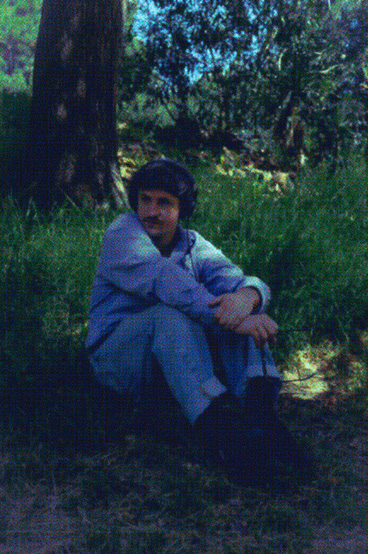 Person sitting on grass in a forested area with trees and greenery, wearing a light blue shirt and dark pants.