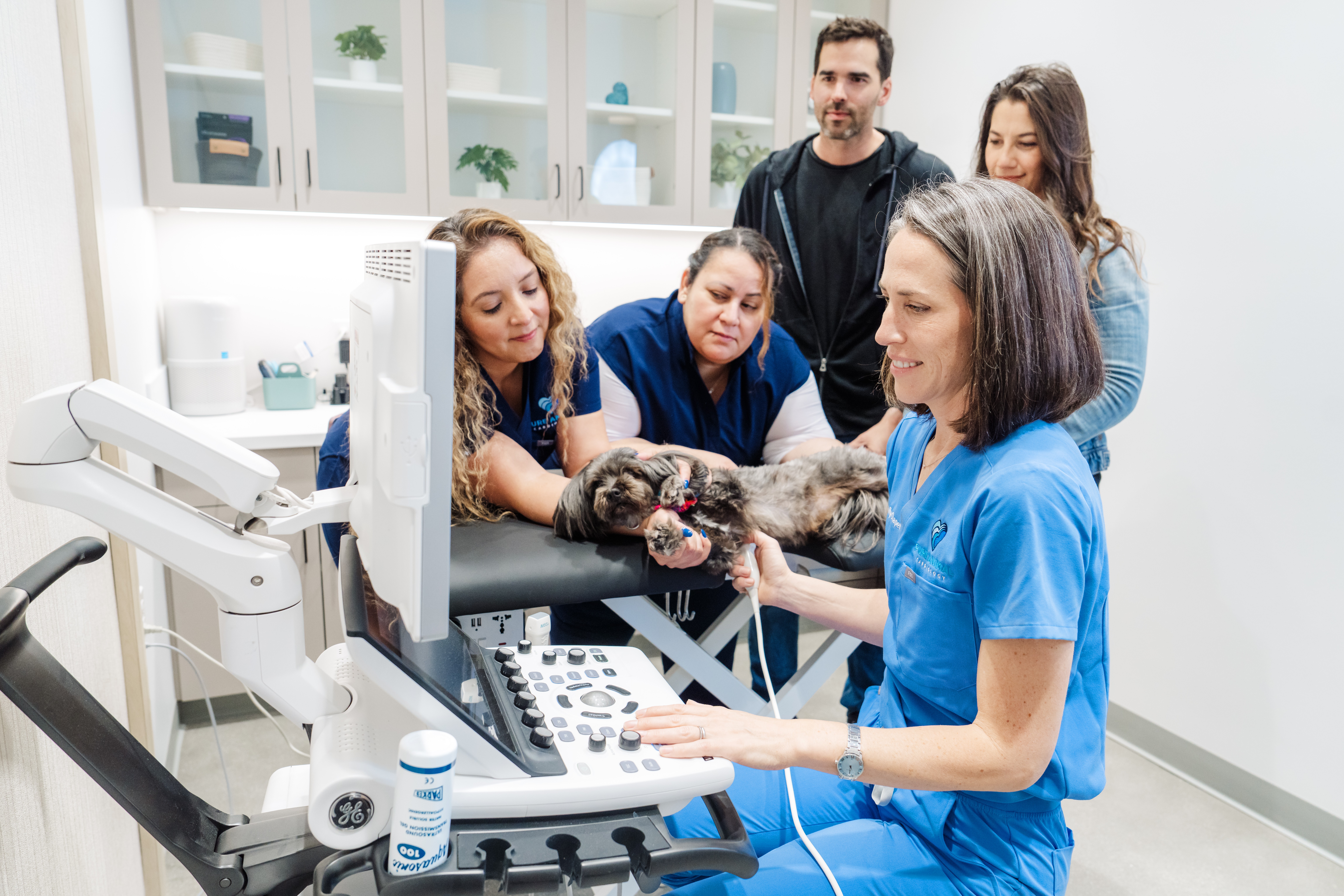 Veterinarian examining a puppy with a group of people in a veterinary clinic, using ultrasound equipment.