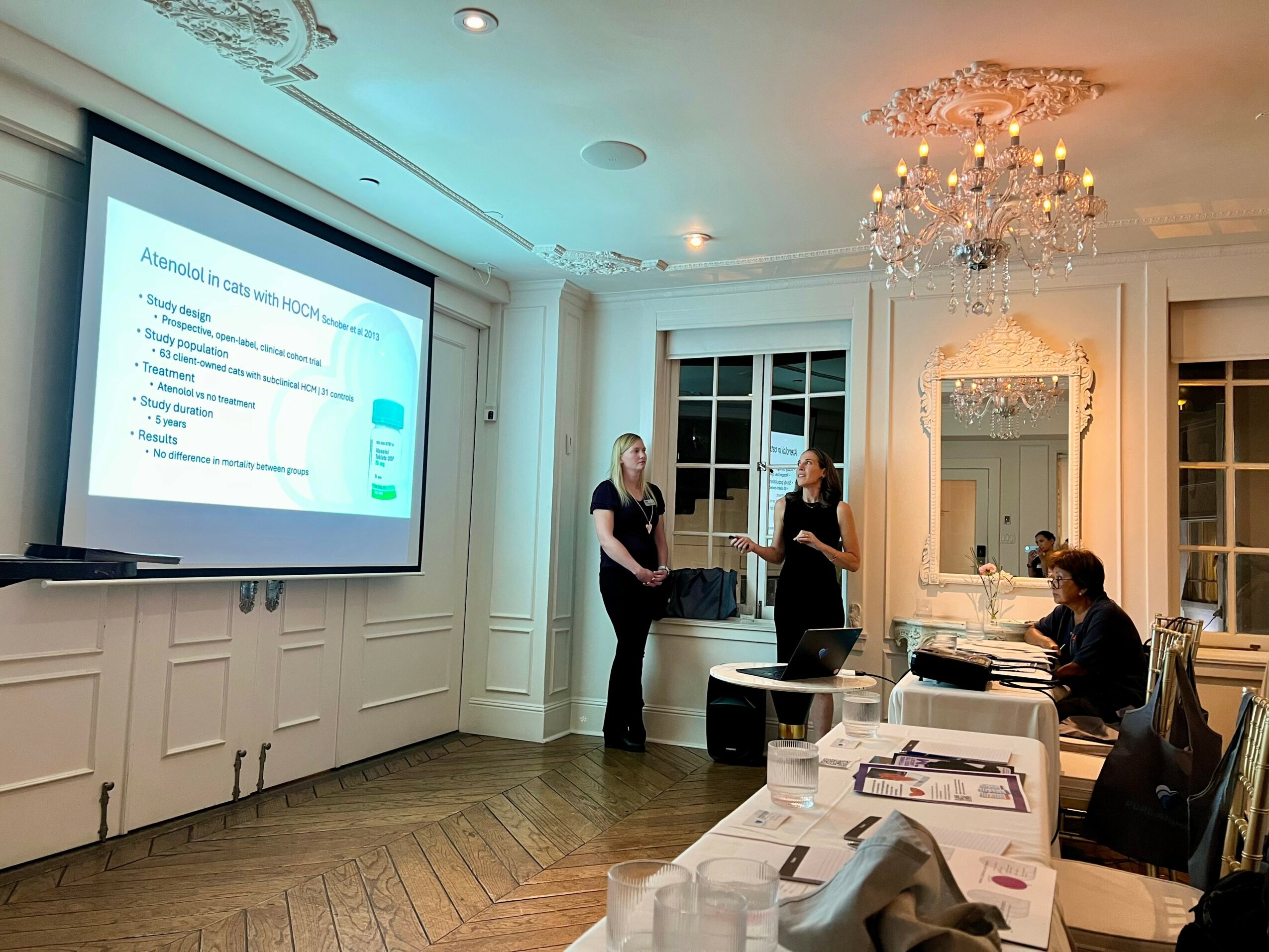 Two women stand near a presentation screen in a decorated room, with a seated person at a table and a chandelier overhead.