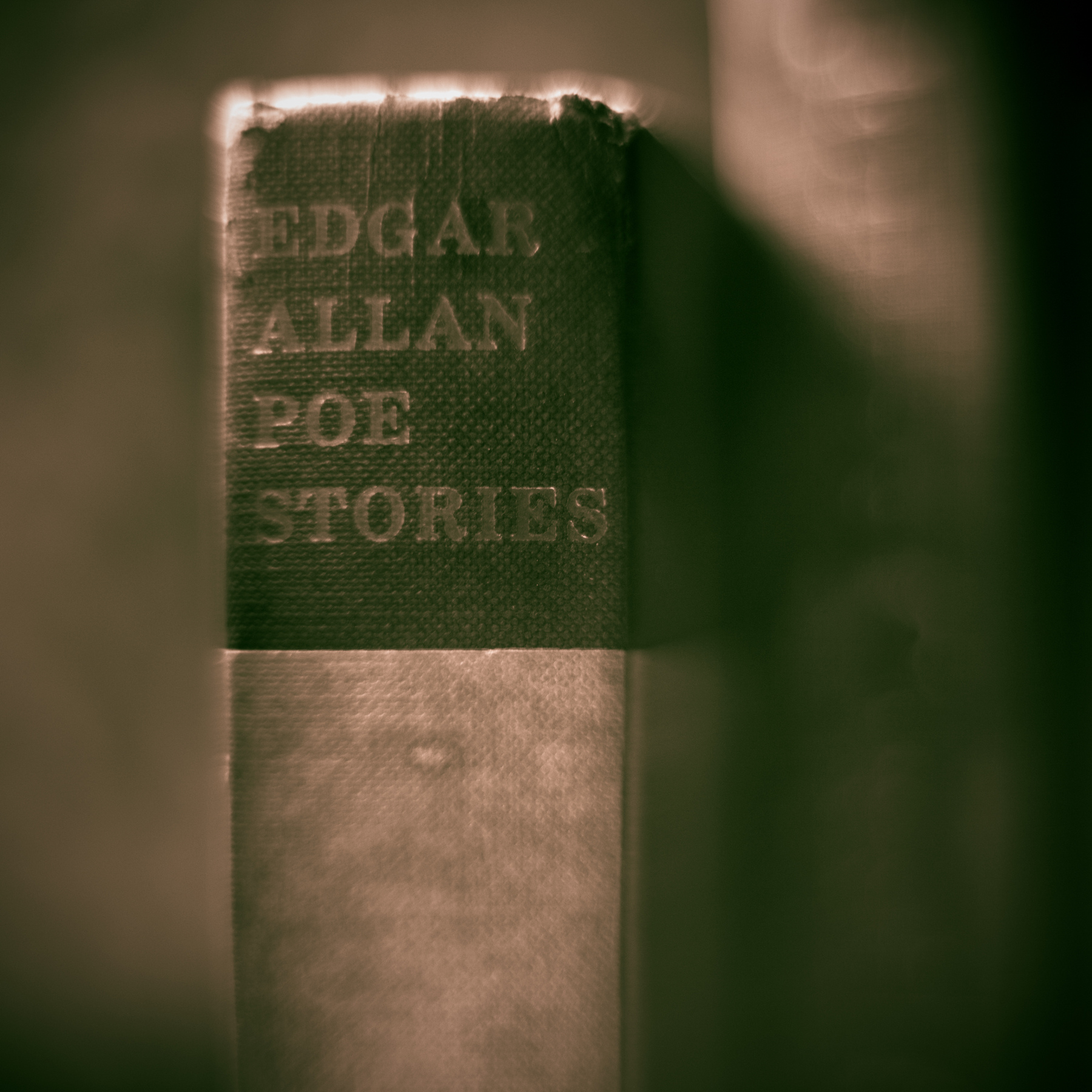 Close-up of a book titled 'Edgar Allan Poe Stories' on a shelf, with a blurred background.