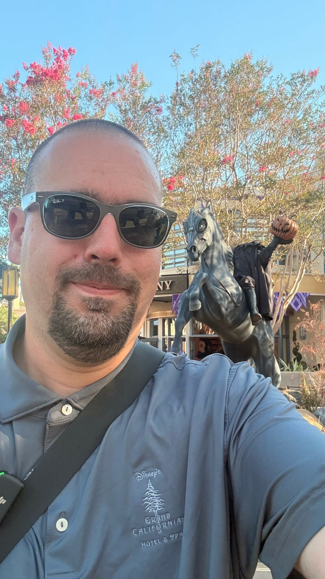Man wearing sunglasses and a gray polo shirt taking a selfie outdoors with a statue of a person on a horse in the background.