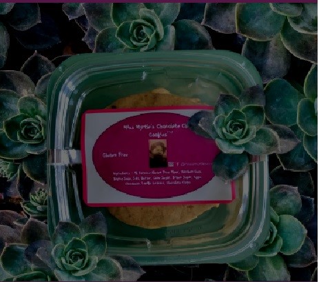 A container with a label inside a bed of green succulents, with some succulents on top of the container.