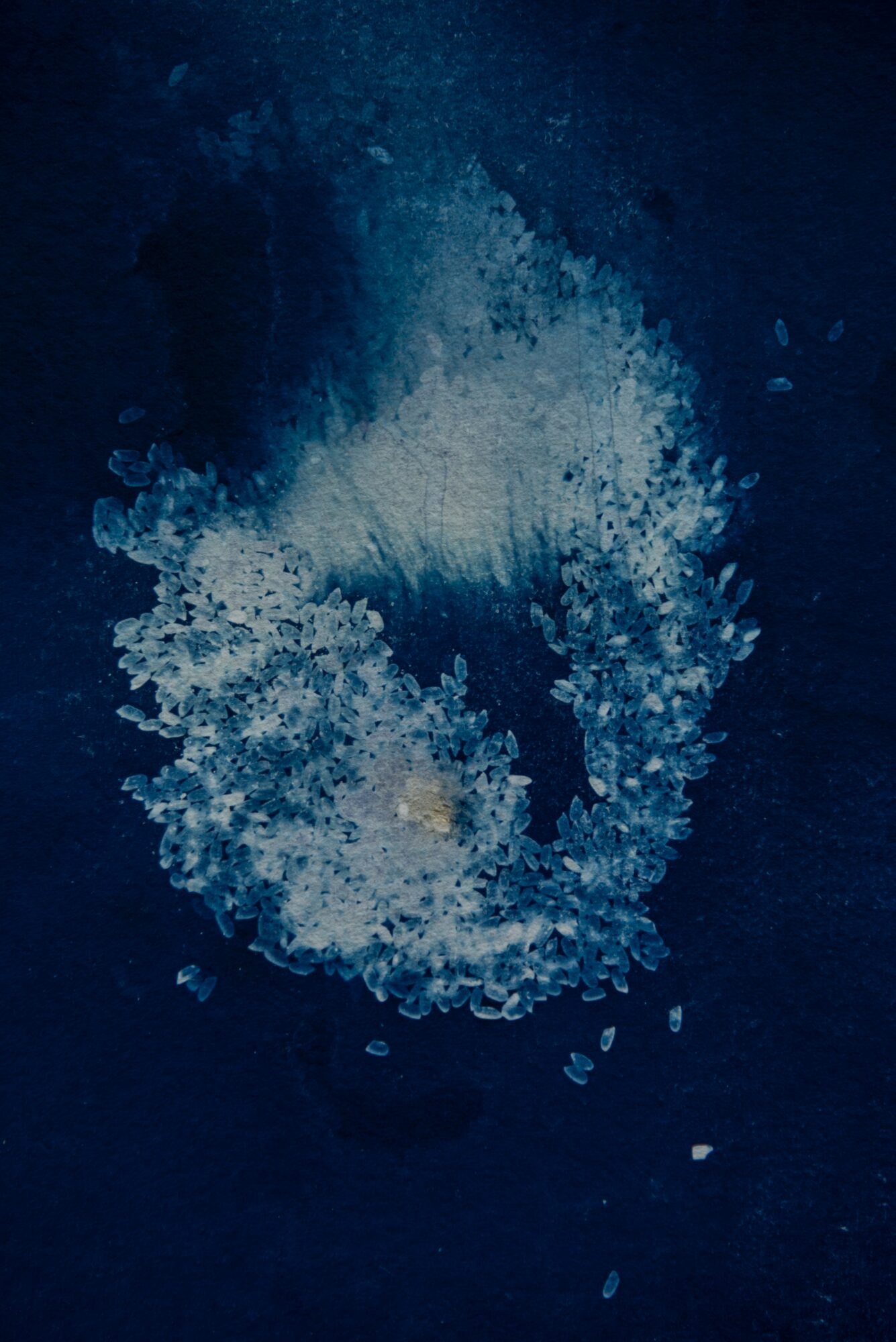 A splash of water creates a circular pattern against a dark background.