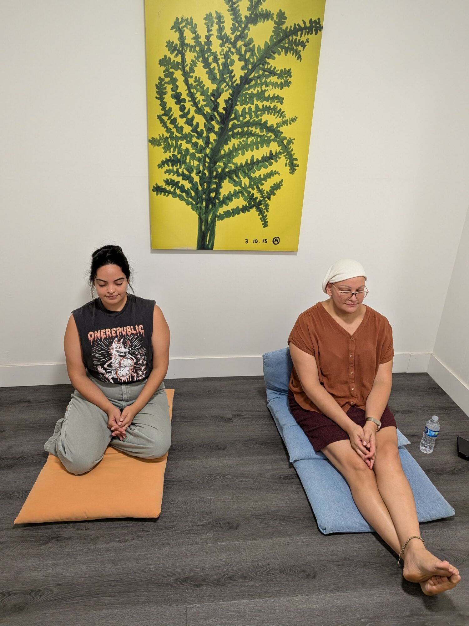 Two women sitting on mats in a room with a large yellow and green plant poster on the wall.